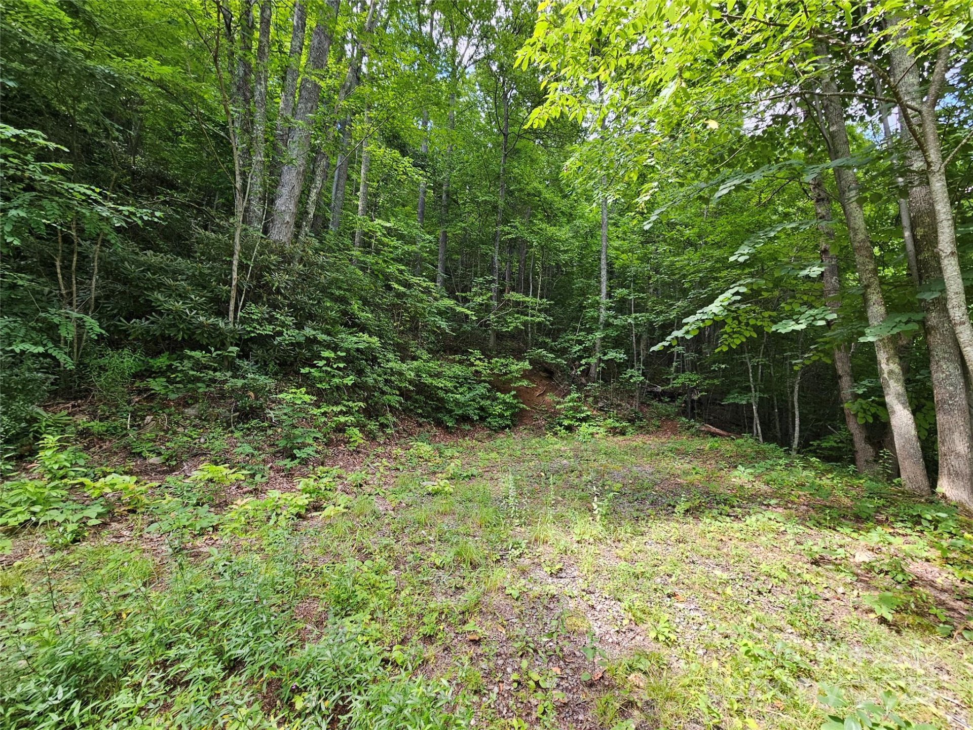Property image 4 at 000 Big Boulder Ridge, Maggie Valley, NC 28751
