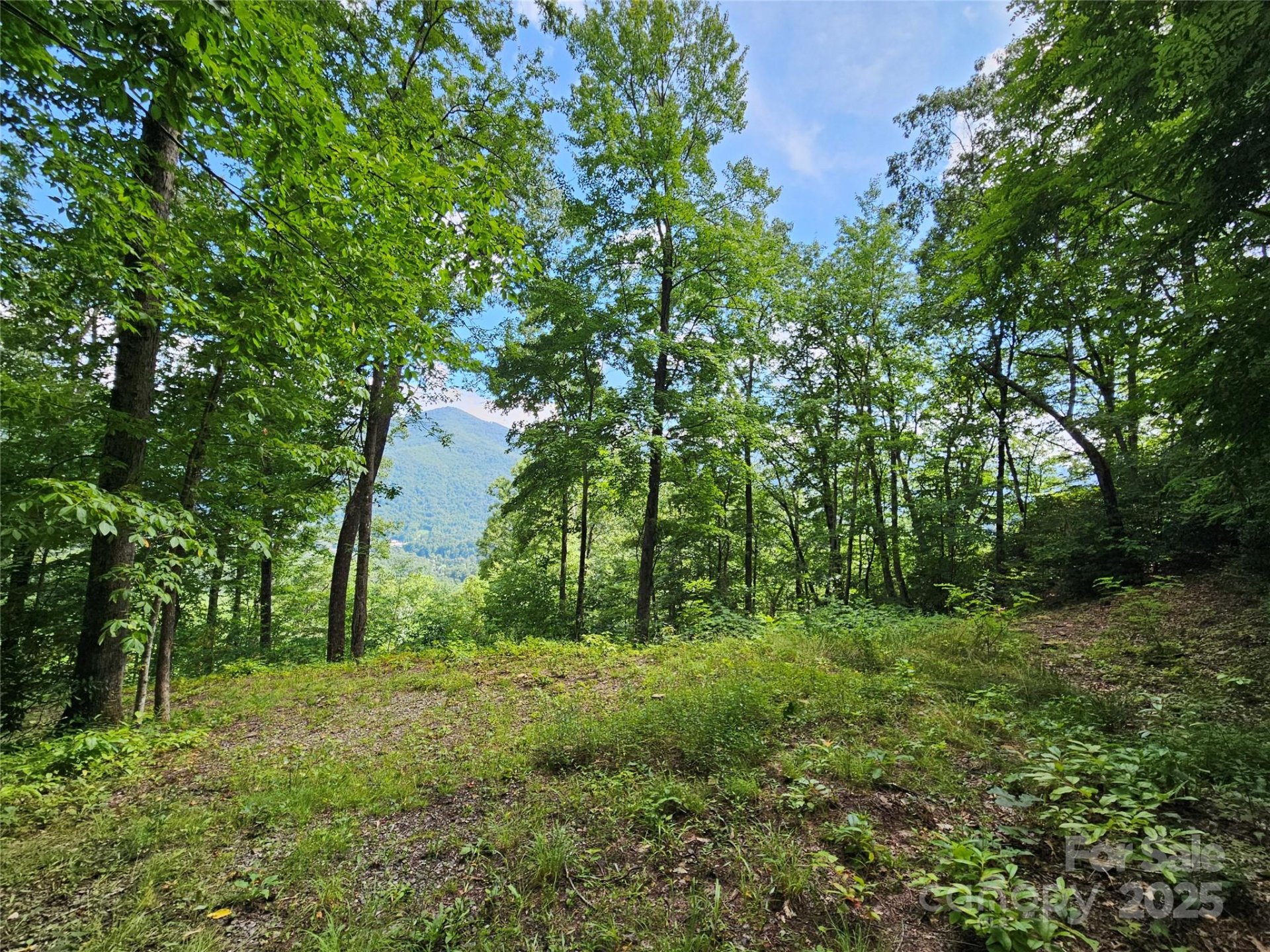 Property image 5 at 000 Big Boulder Ridge, Maggie Valley, NC 28751