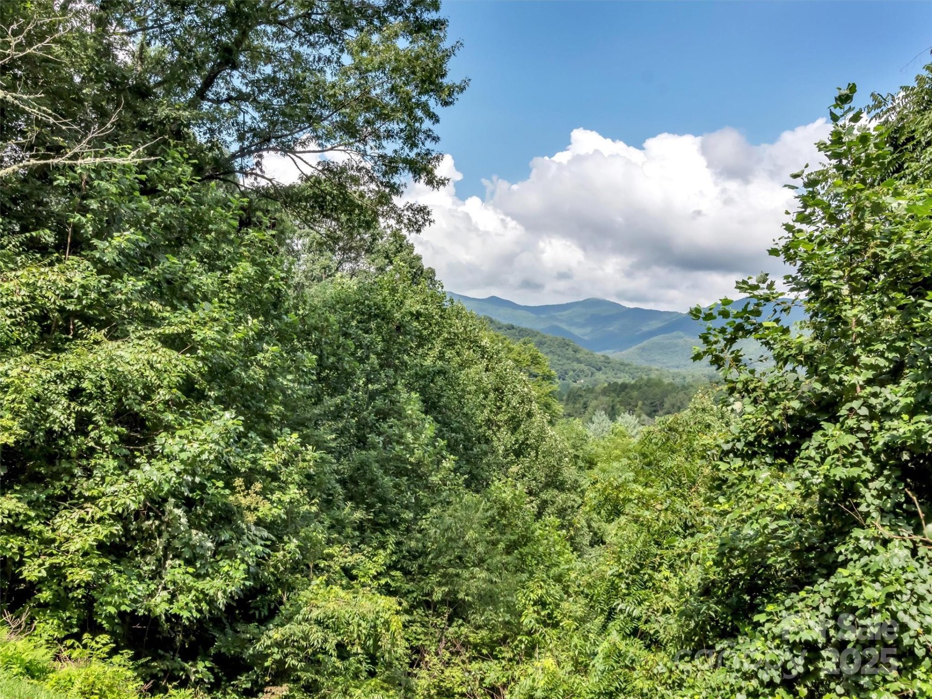 Property image 5 at 562 Beechwood Drive, Sylva, NC 28779