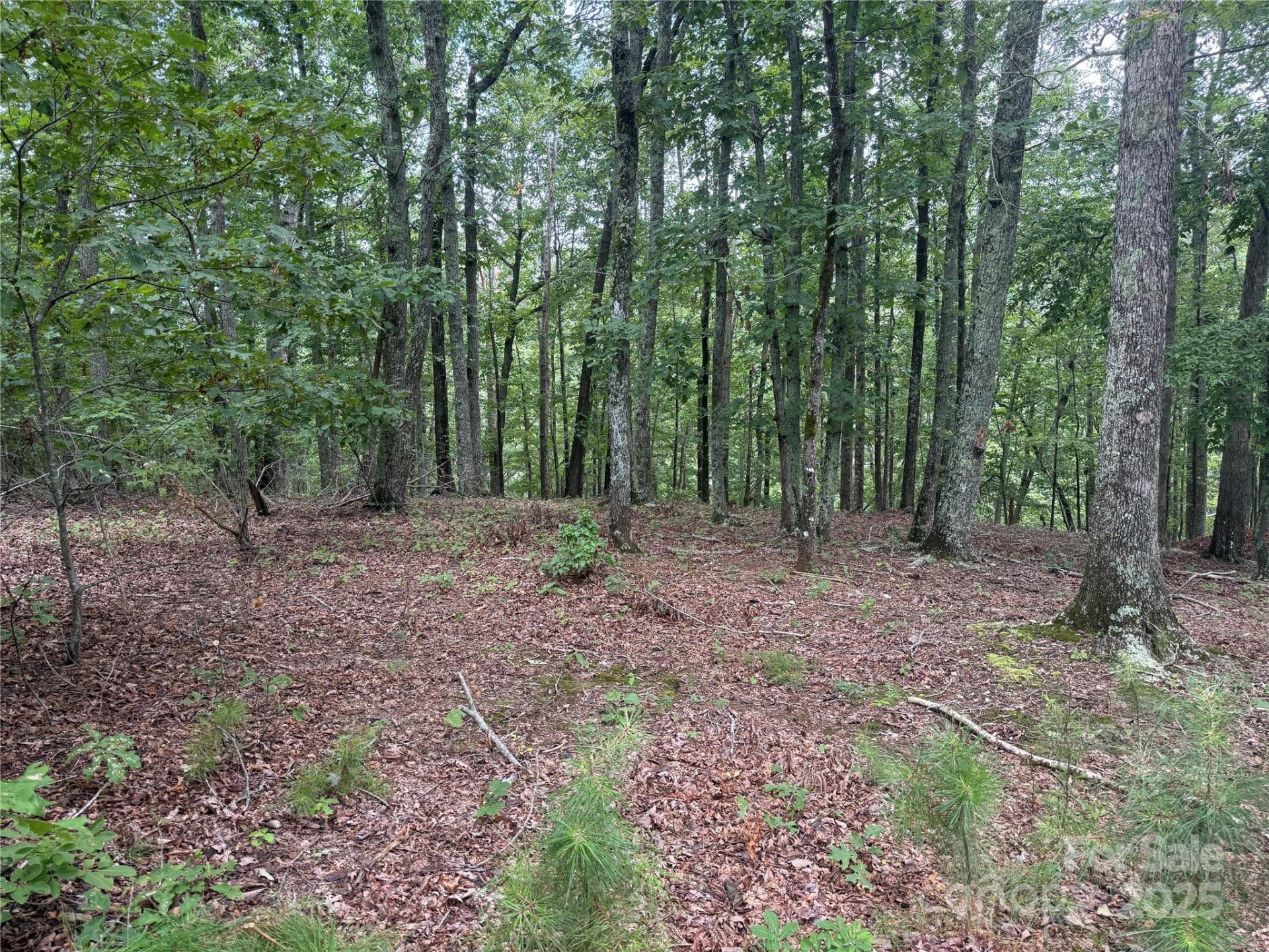 Property at 1187 Grandview Peaks Drive, Nebo, NC 28761