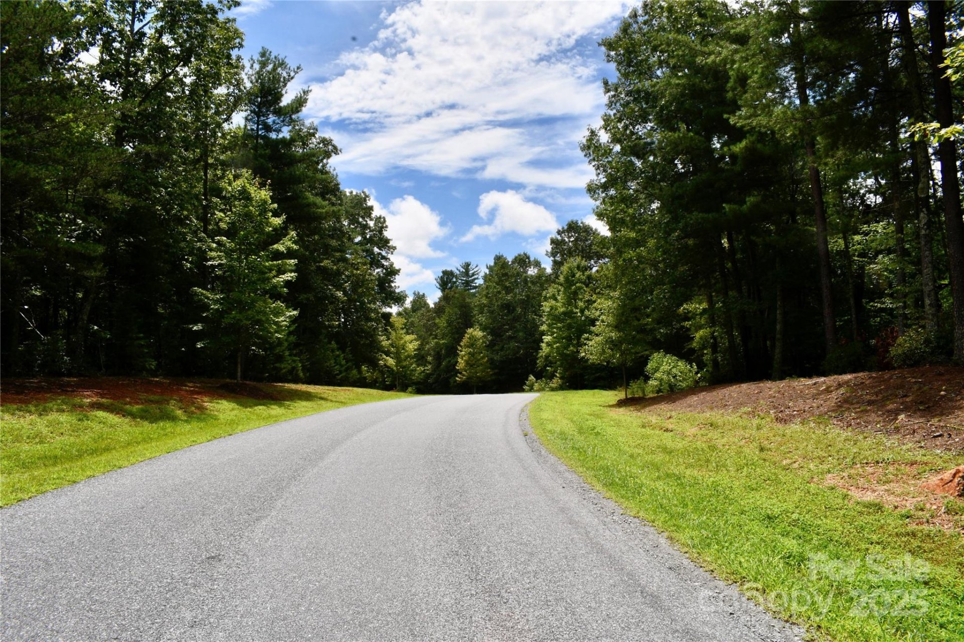 Property image 3 at 257 Beacon Ridge Drive, Nebo, NC 28761