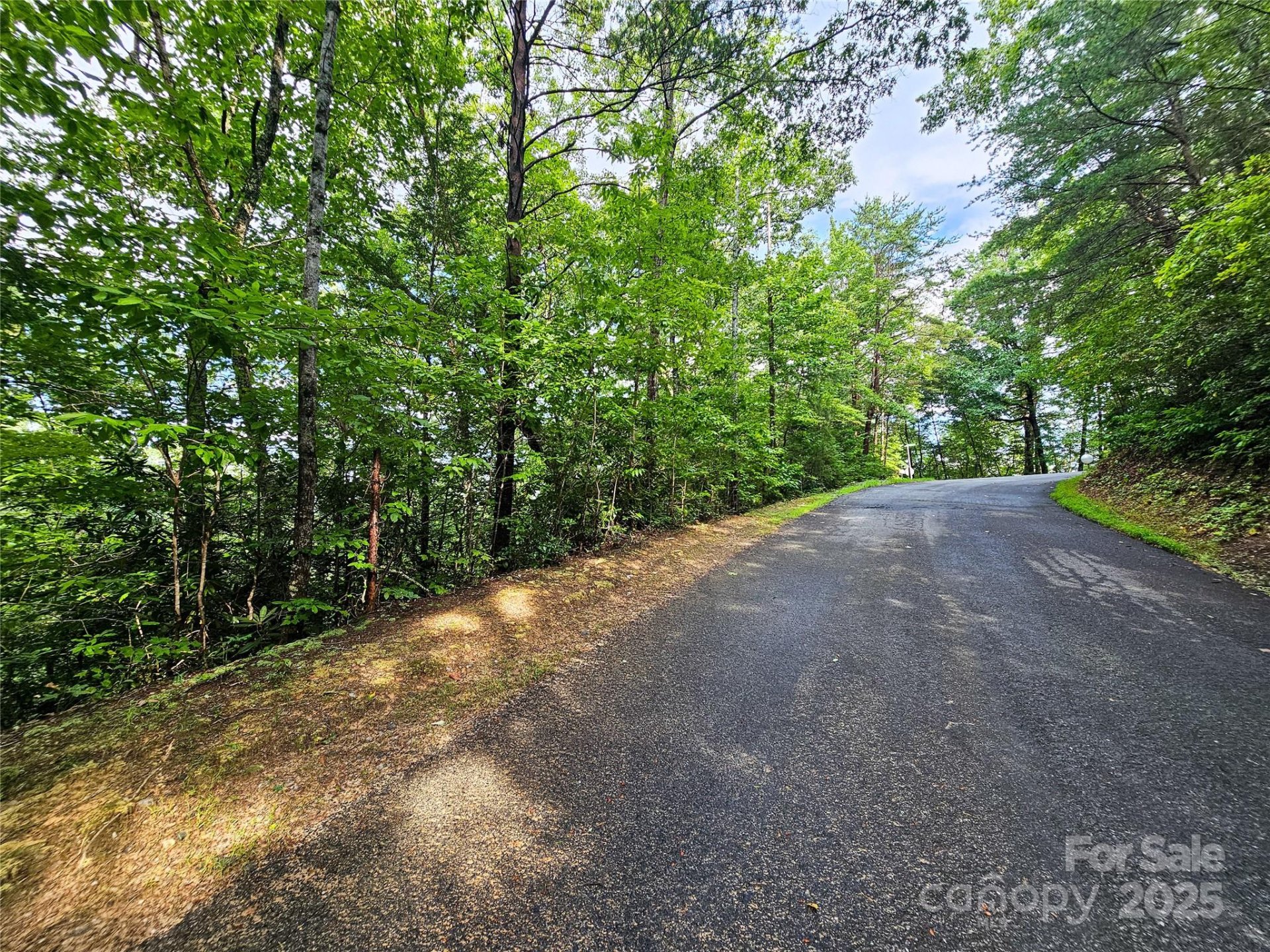 Property image 3 at Tbd Rumbling Bald Road, Lake Lure, NC 28746