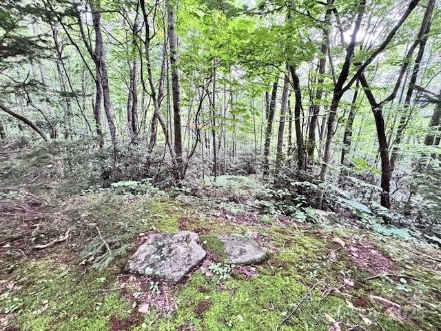 Property image 2 at 29 Wood Haven Lane, Black Mountain, NC 28711