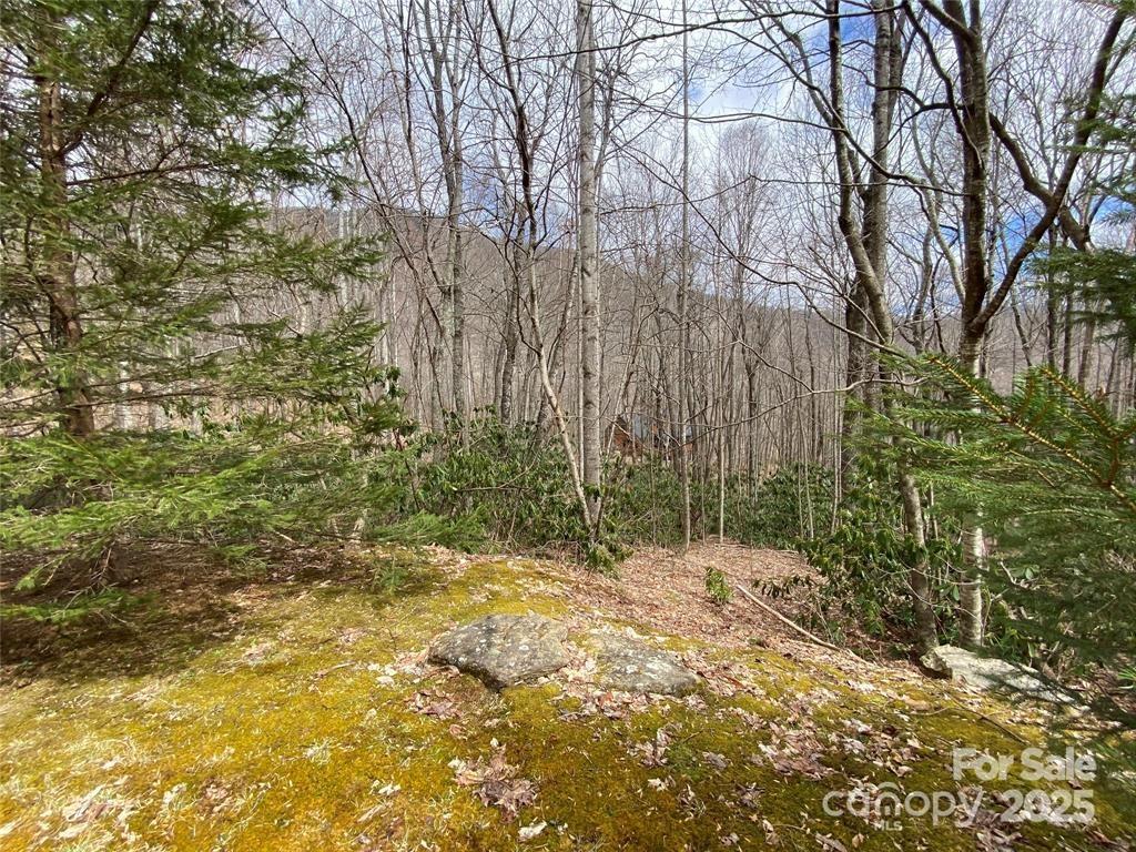 Property image 4 at 29 Wood Haven Lane, Black Mountain, NC 28711