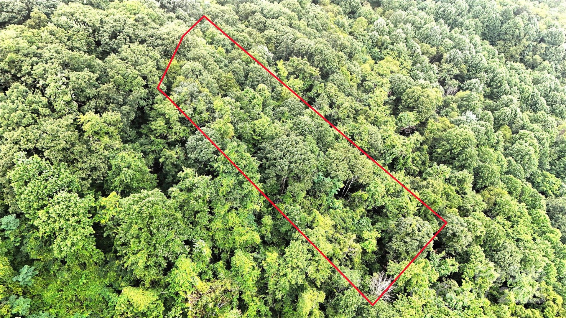 Woodys Mountain Estates, Hendersonville Community