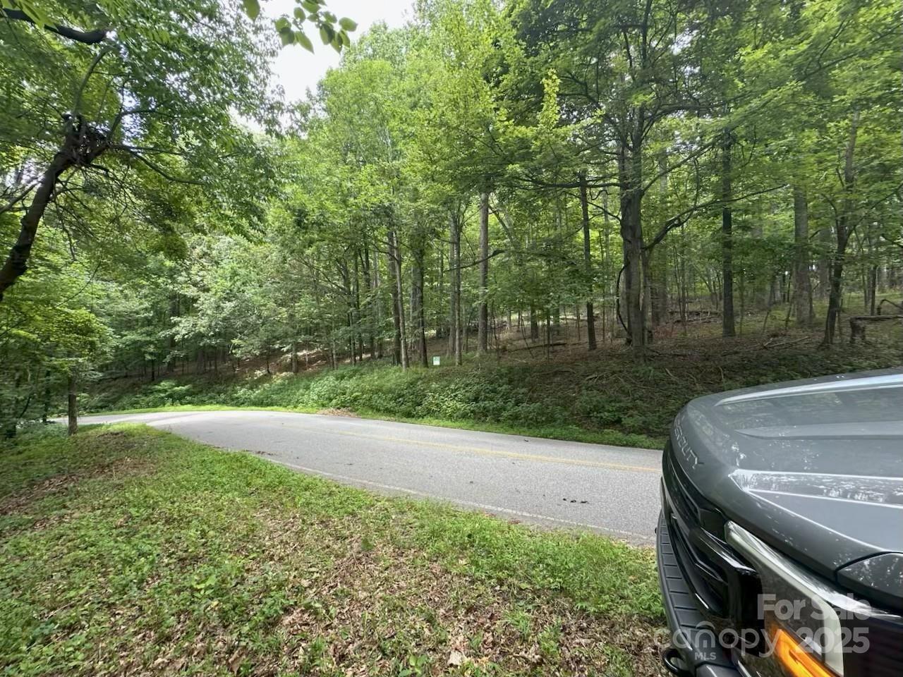 Property image 1 at 0000 Skyuka Mountain Road, Columbus, NC 28722