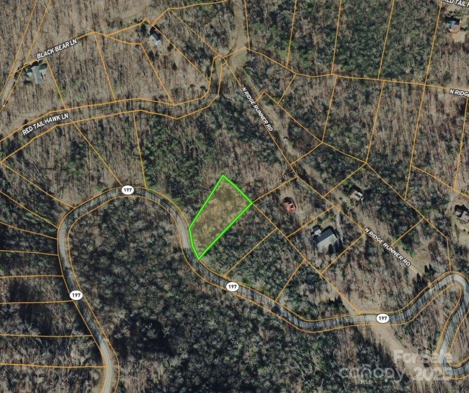 Property image 4 at Lot 21 Nc Hwy 197 Highway, Burnsville, NC 28714