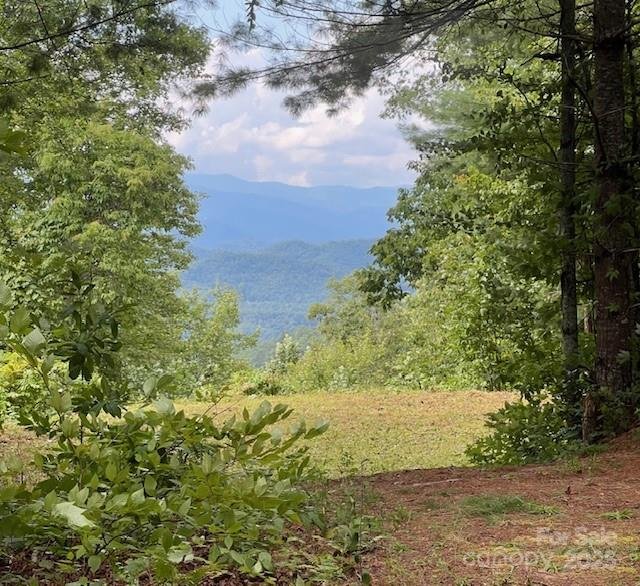 Property at 105 Starlight Lane, Bryson City, NC 28713