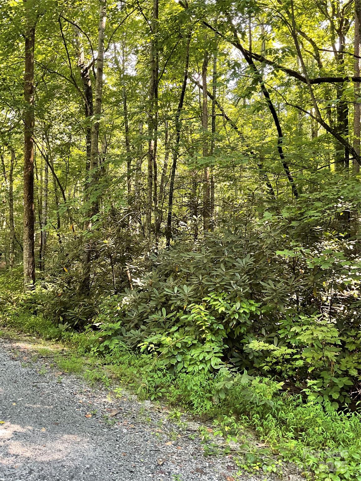 Property image 2 at 0 S Poplar Drive, Lake Lure, NC 28746