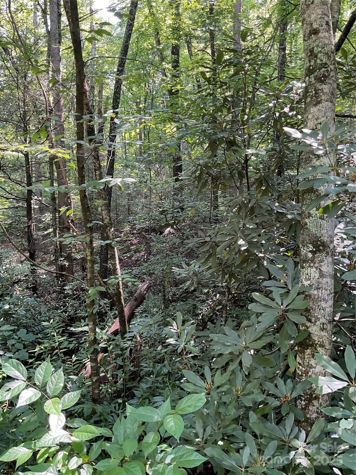 Property image 3 at 0 S Poplar Drive, Lake Lure, NC 28746
