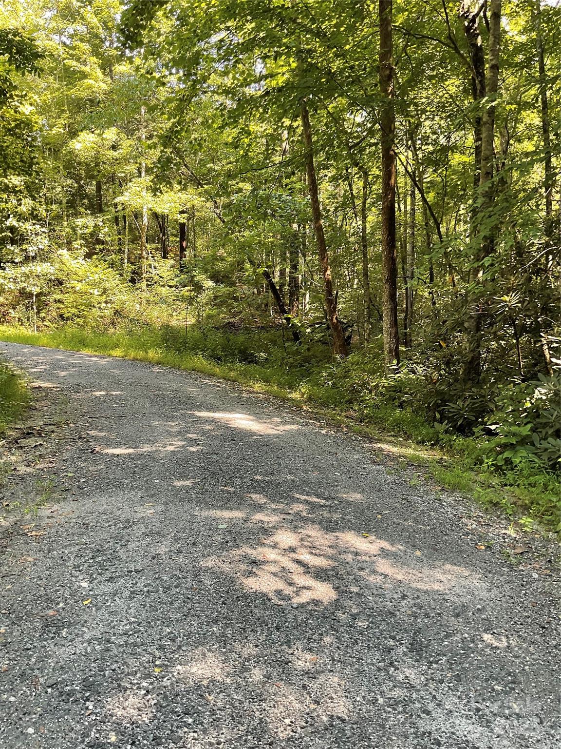 Property image 4 at 0 S Poplar Drive, Lake Lure, NC 28746