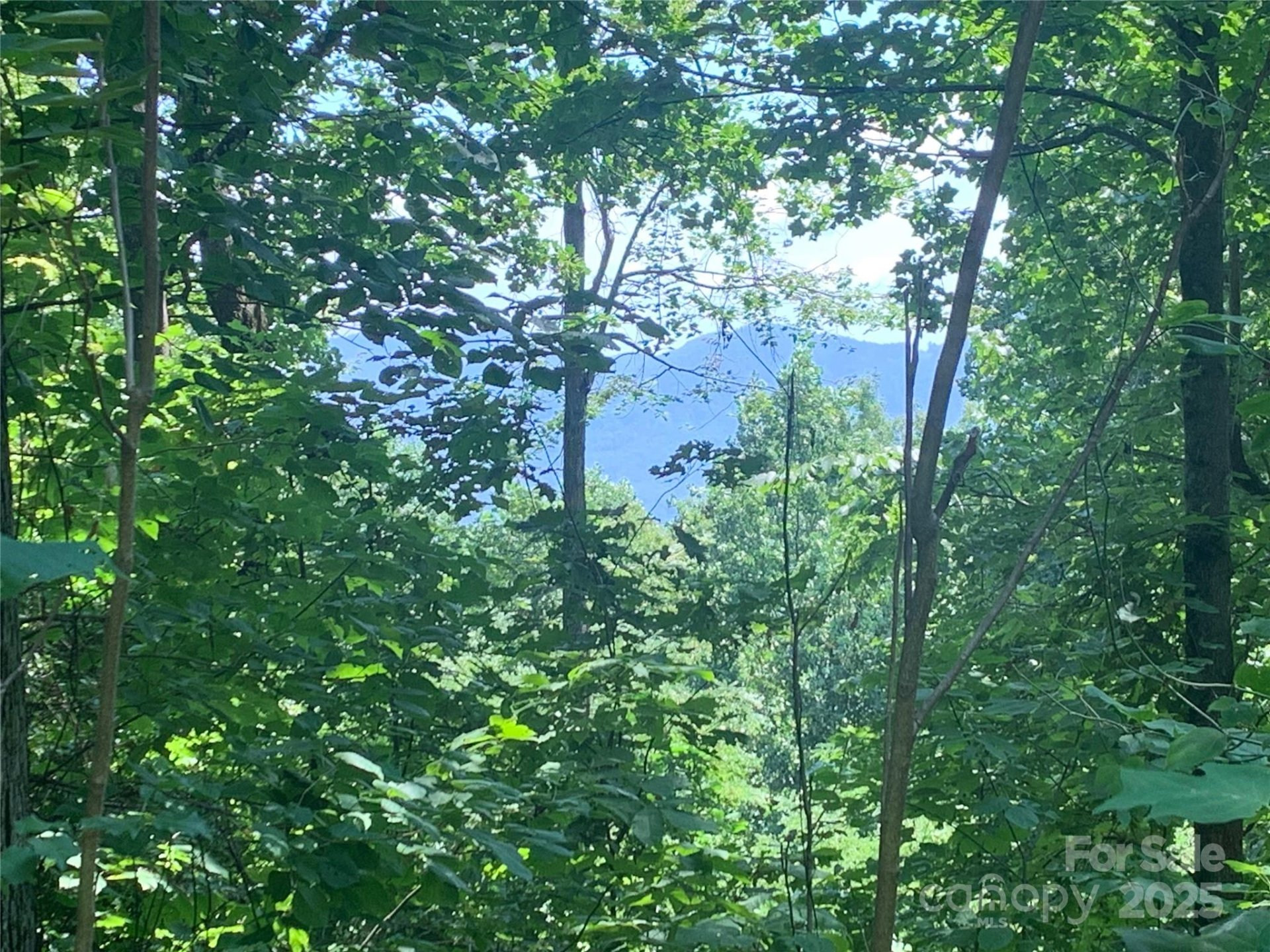 Property at 1915 Creston Drive, Black Mountain, NC 28711