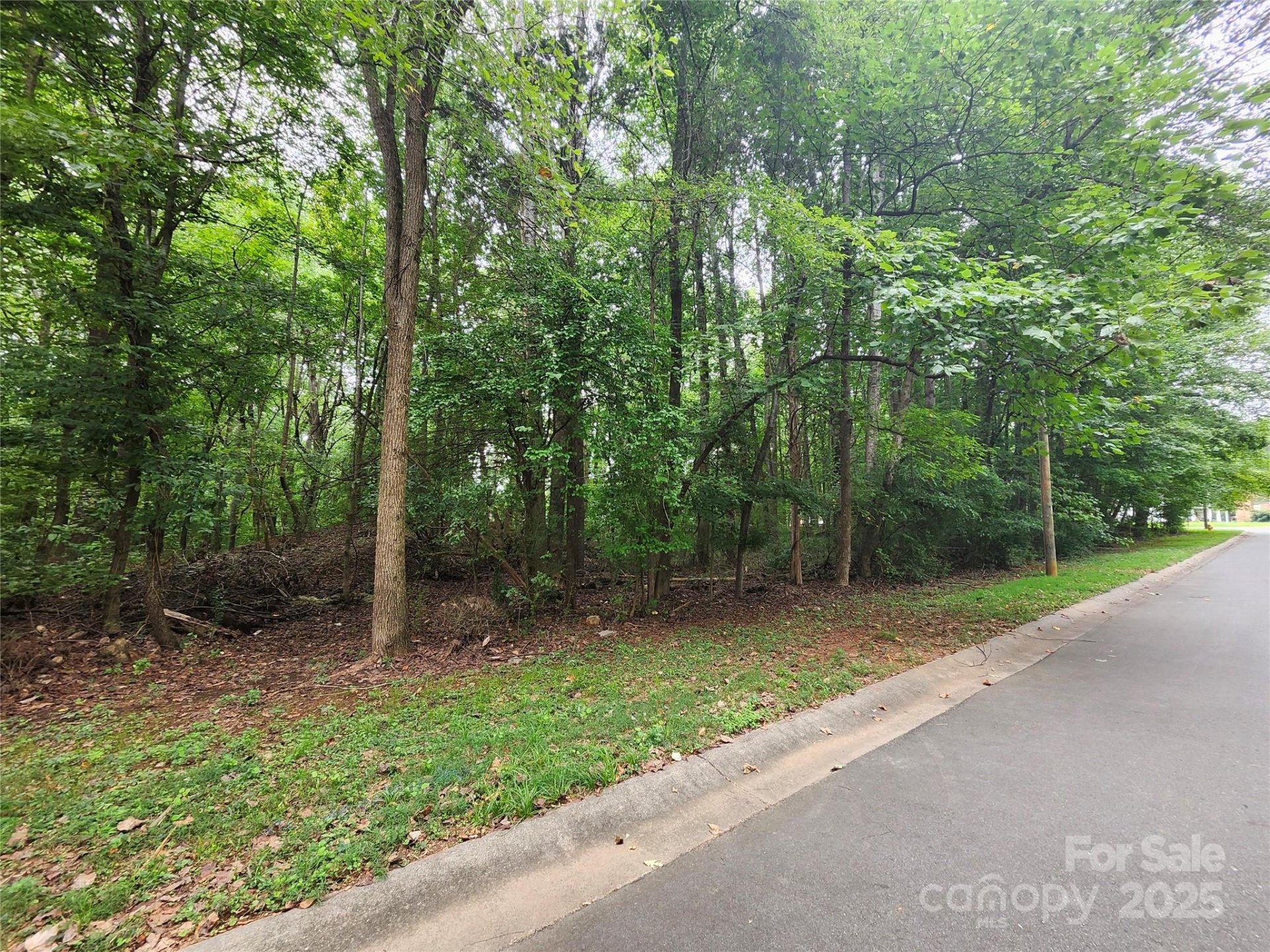 Property image 3 at 9219 Castle Garden Lane, Charlotte, NC 28215