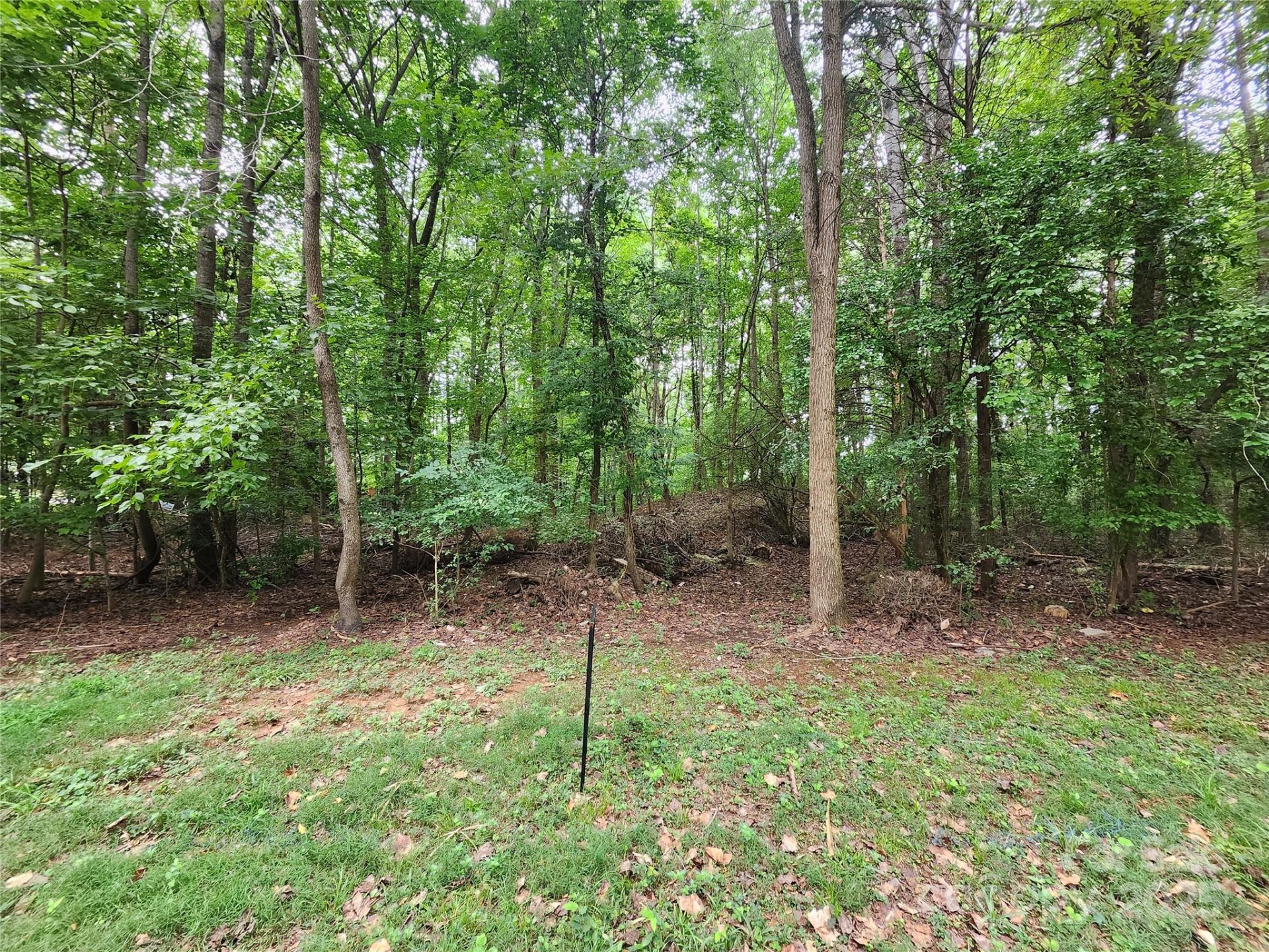 Property image 5 at 9219 Castle Garden Lane, Charlotte, NC 28215