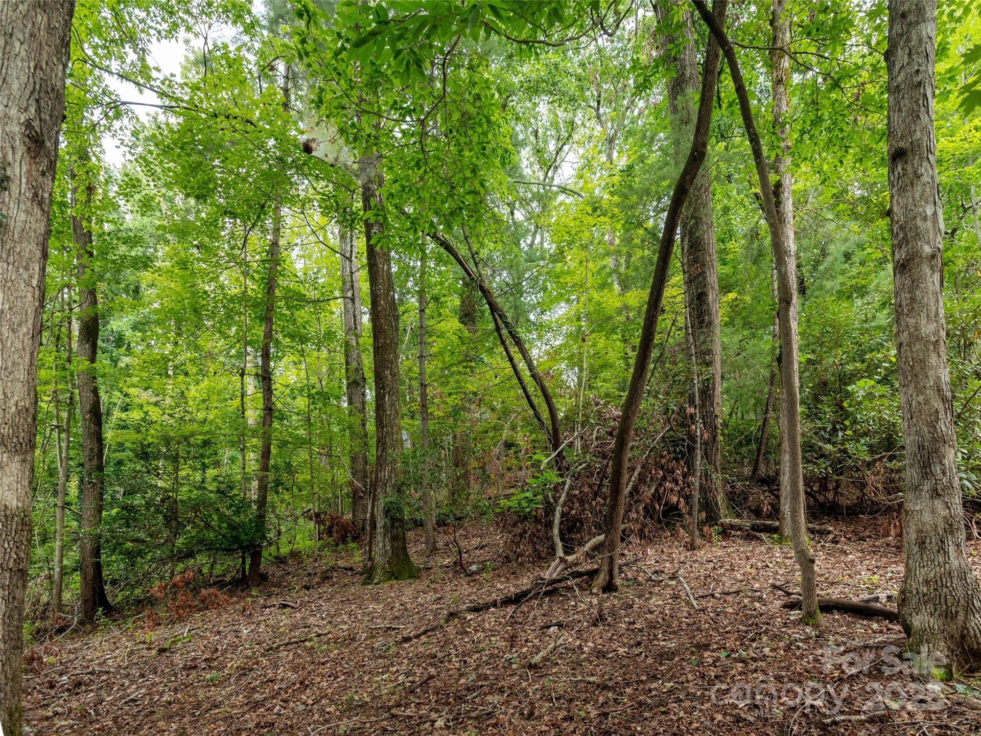 Property image 4 at Lot 68 Iroquois Drive, Hendersonville, NC 28739