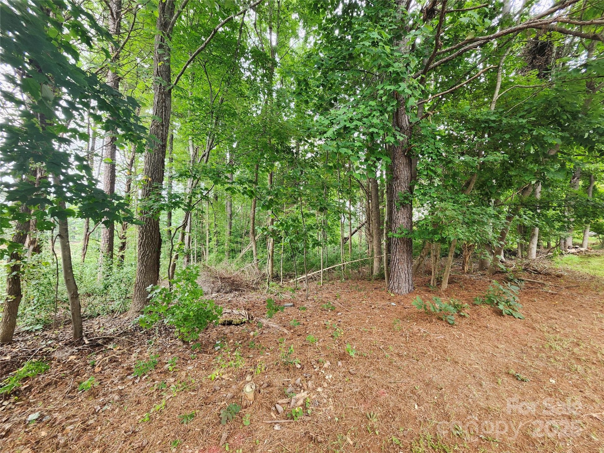 Property image 4 at 9843 Drawbridge Drive, Charlotte, NC 28215