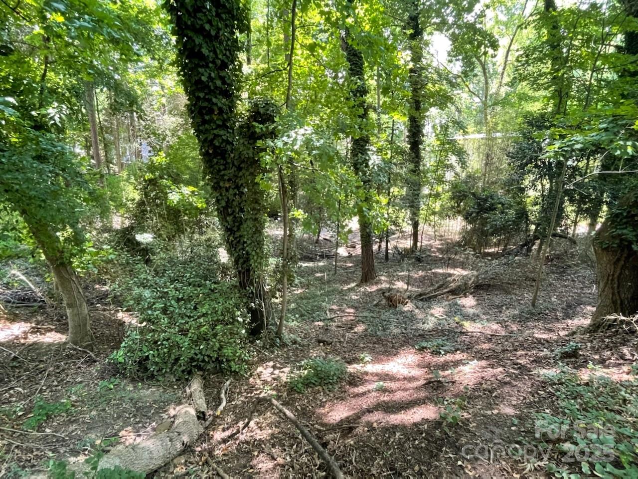 Property image 2 at 3007 Point Clear Drive, Tega Cay, SC 29708