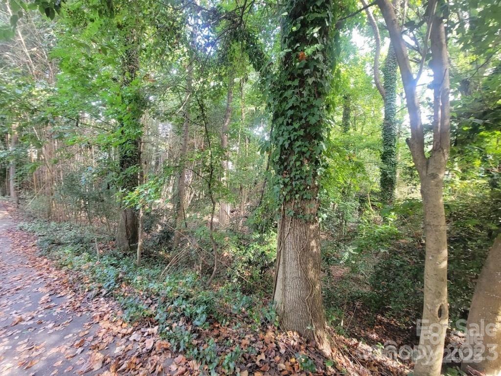 Property image 3 at 3007 Point Clear Drive, Tega Cay, SC 29708