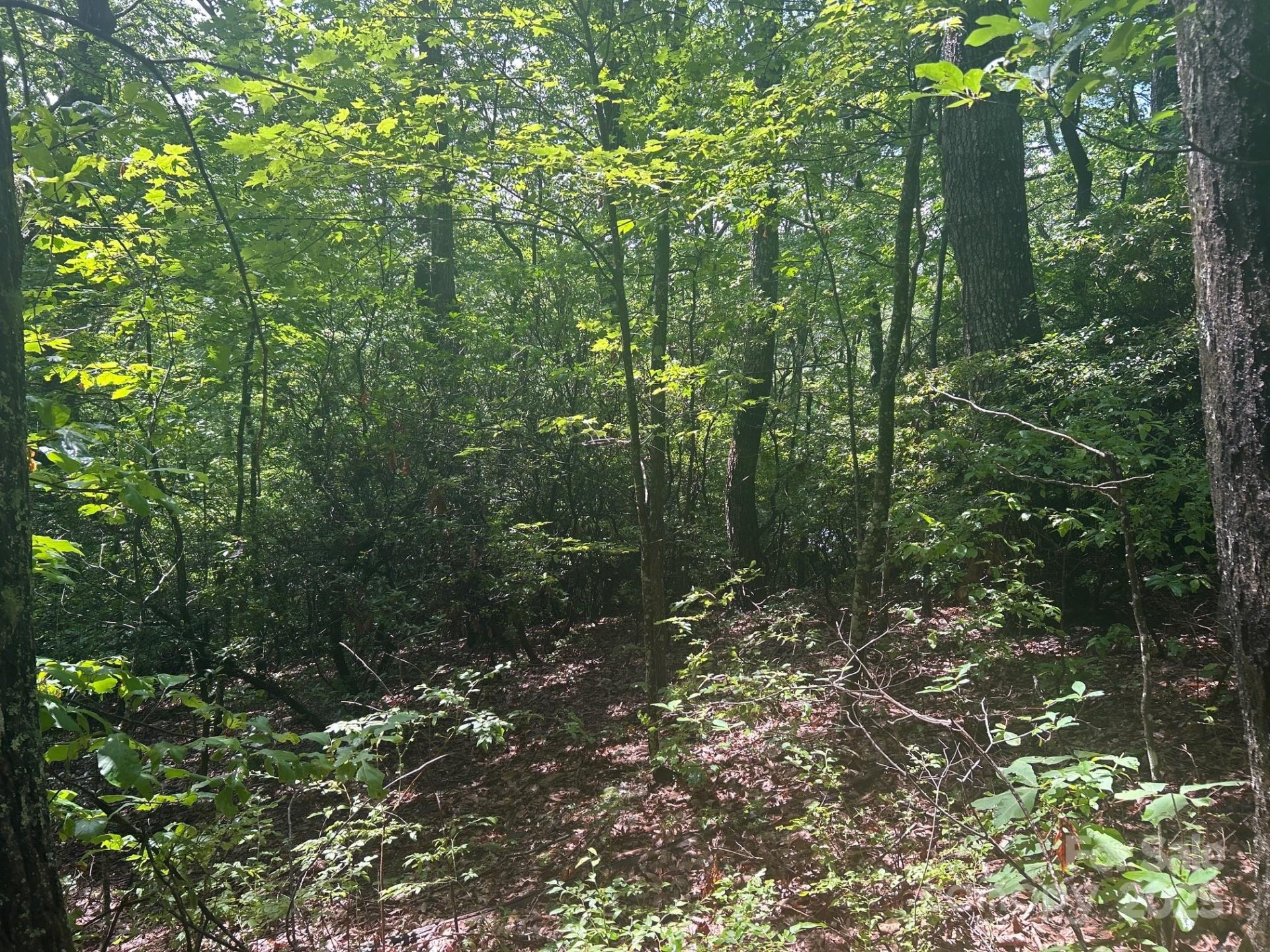 Property image 3 at Lot 21 Pine Ridge Road, Hendersonville, NC 28792