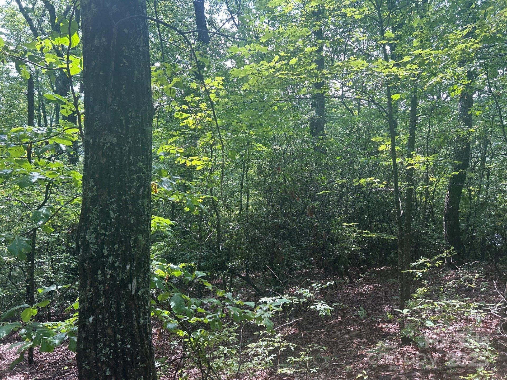 Property image 4 at Lot 21 Pine Ridge Road, Hendersonville, NC 28792