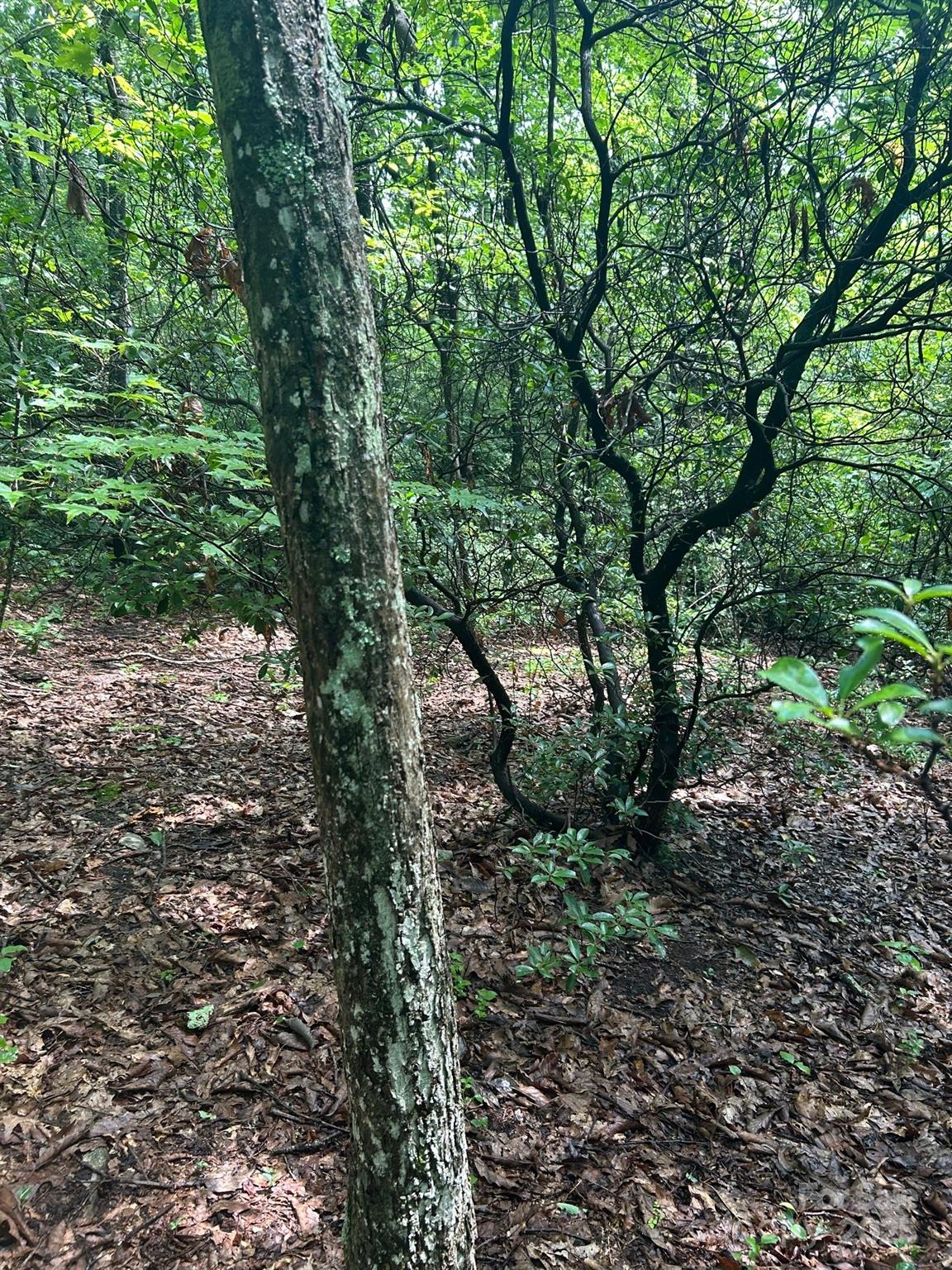 Property image 5 at Lot 21 Pine Ridge Road, Hendersonville, NC 28792