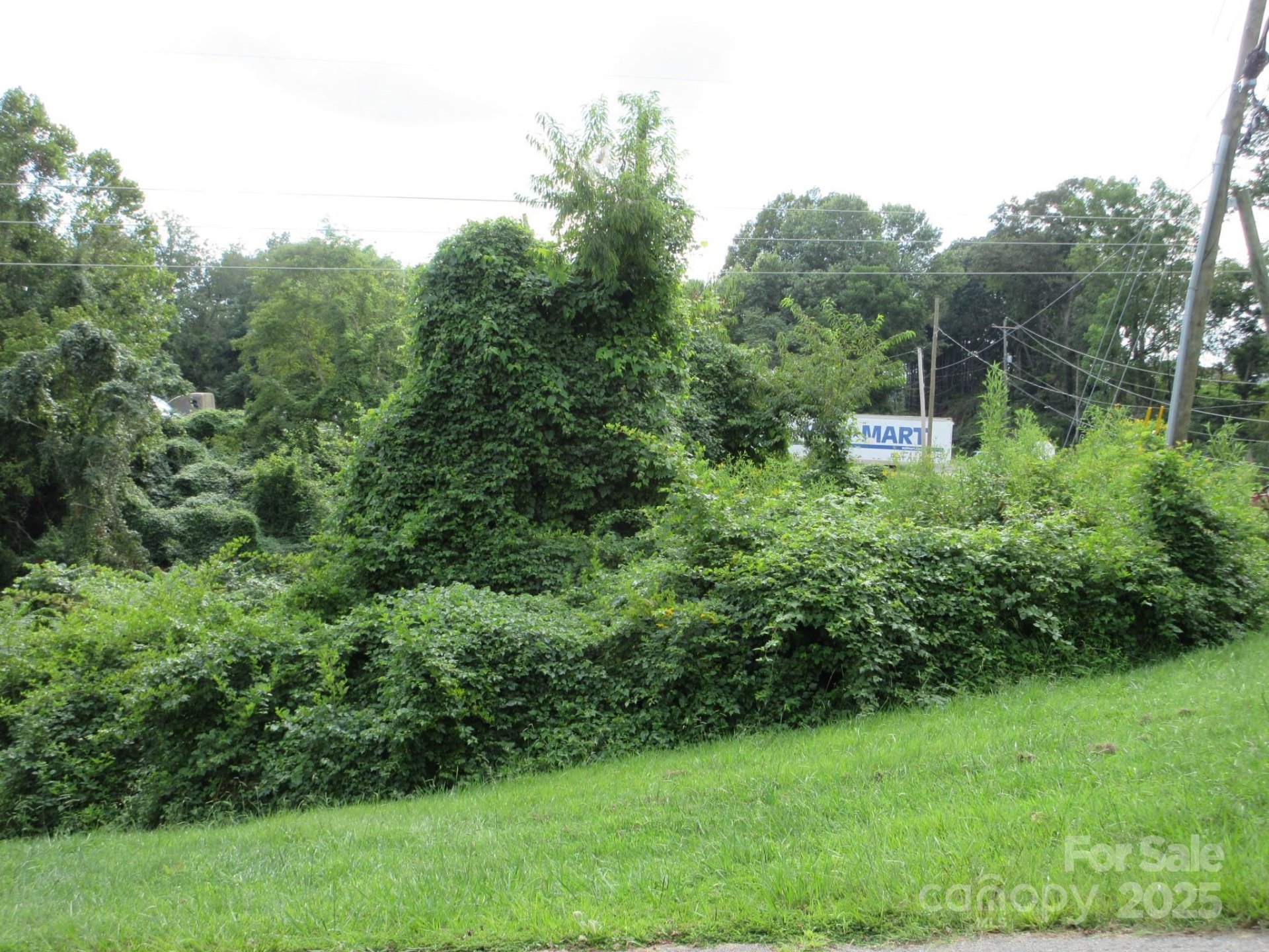 Green Path Commons, Asheville Community
