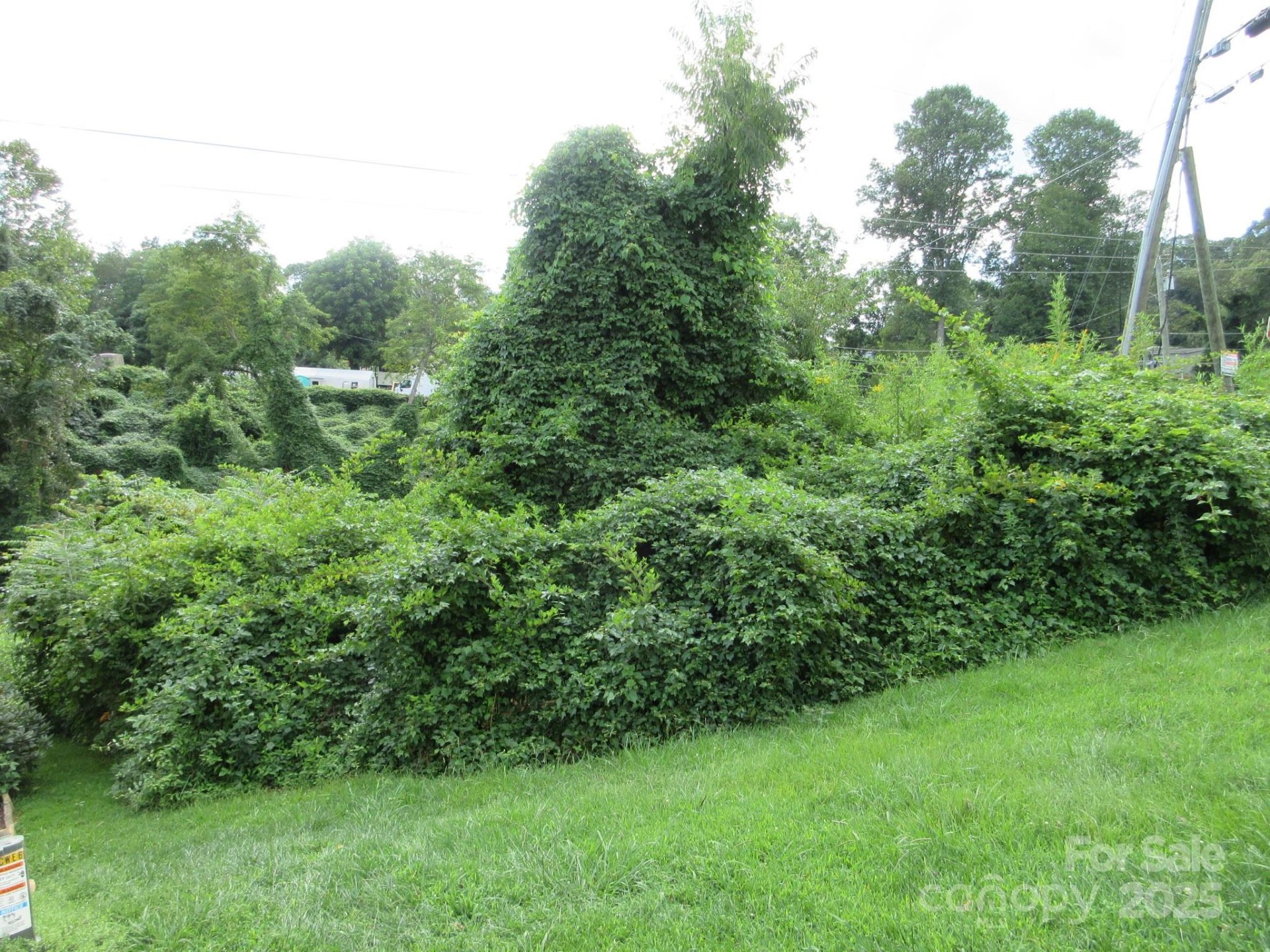 Property image 3 at 3 N Belgium Lane, Asheville, NC 28806