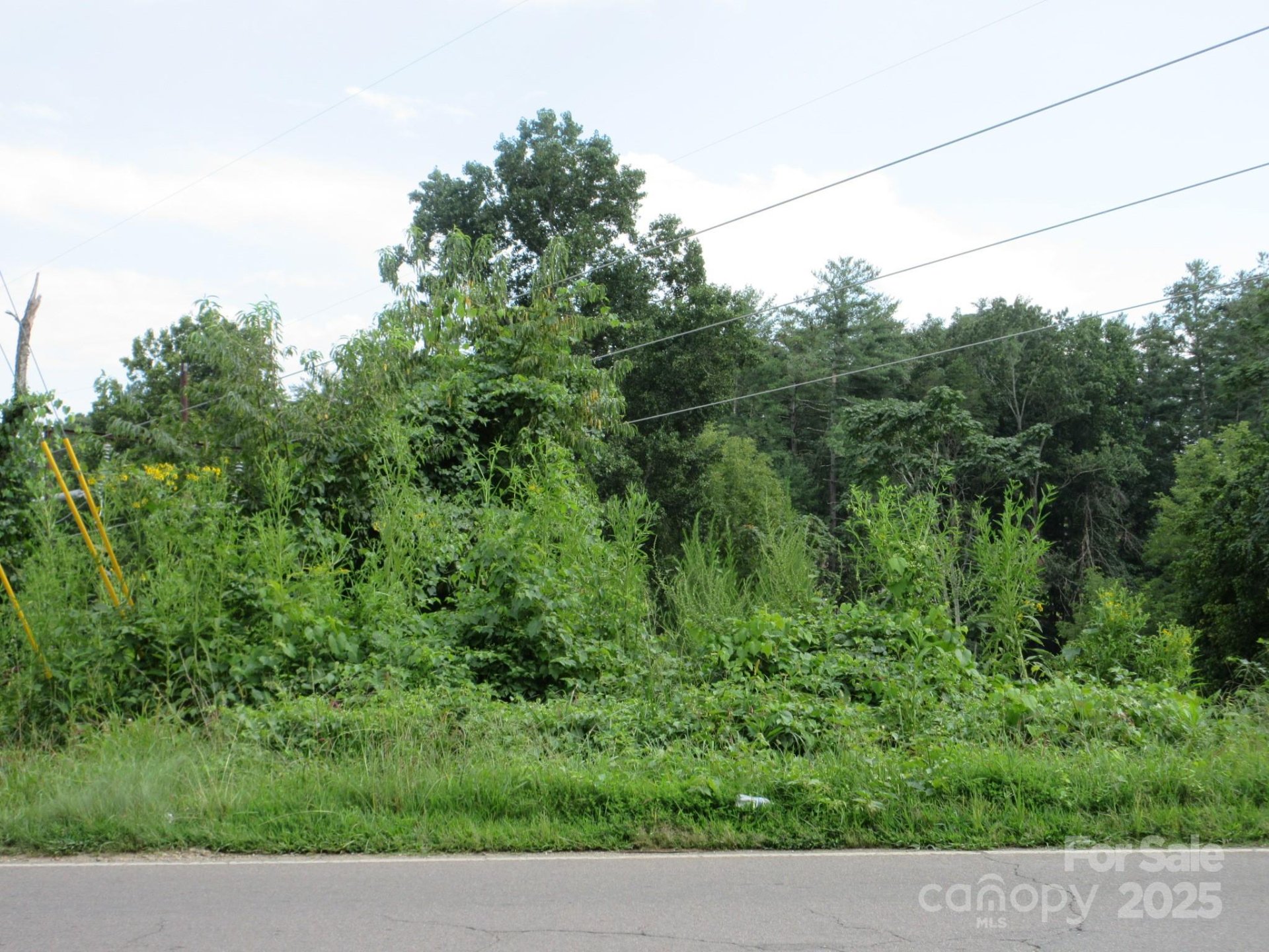 Property image 5 at 3 N Belgium Lane, Asheville, NC 28806