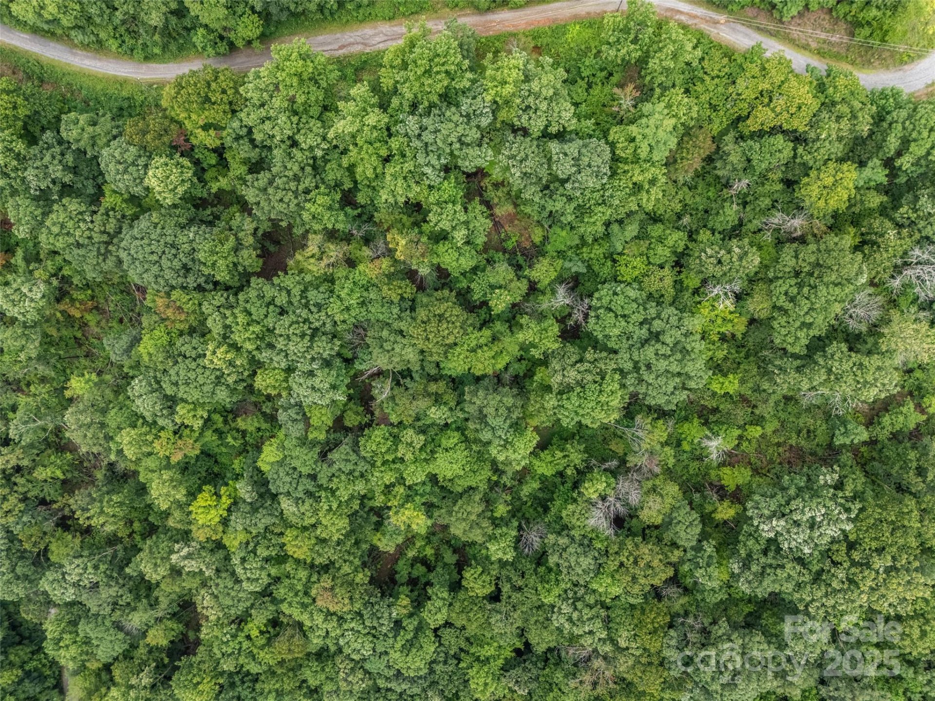 Riverbend Highlands, Lake Lure Community