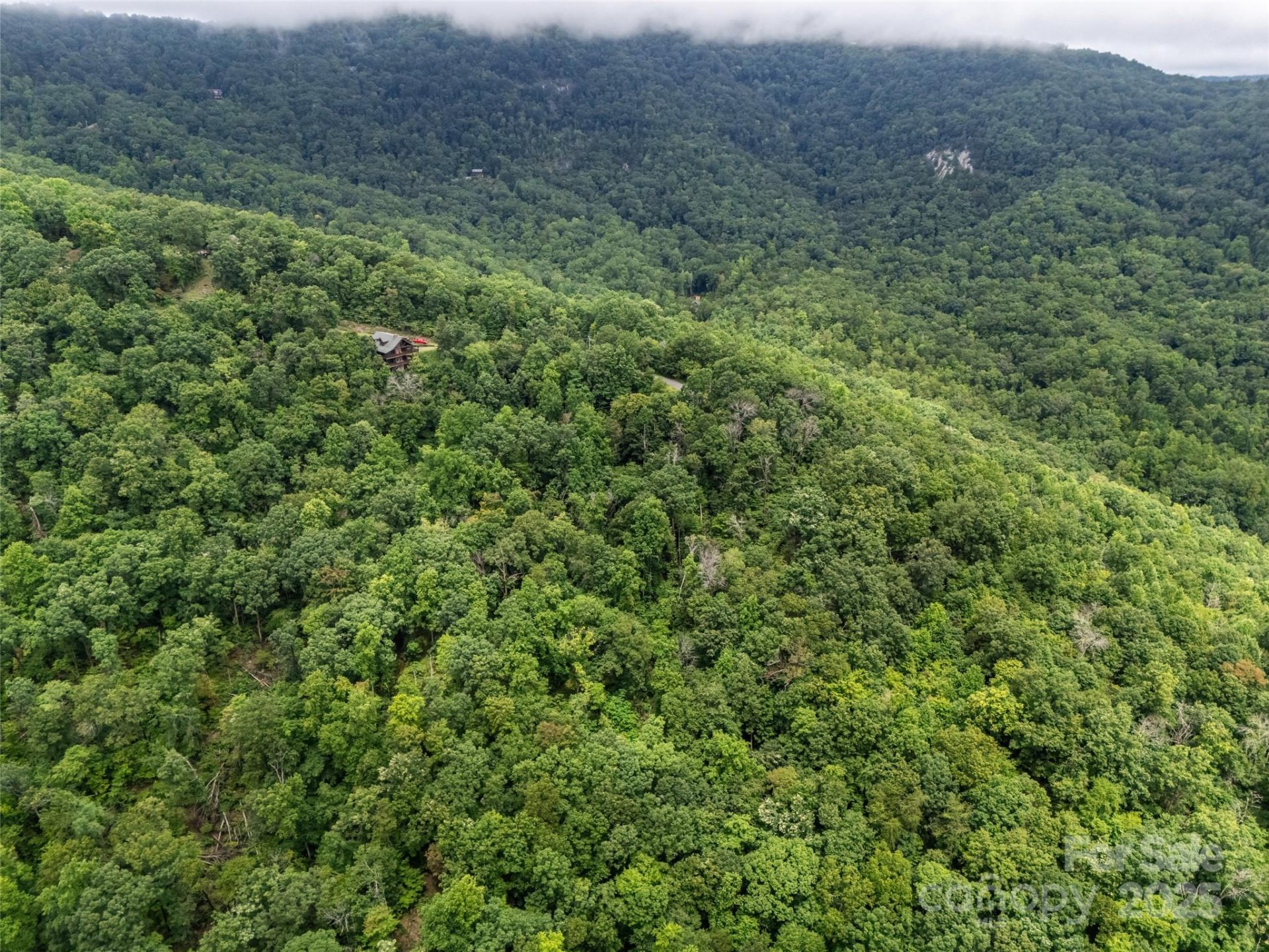 Property image 2 at 0 Peartree Drive, Lake Lure, NC 28746