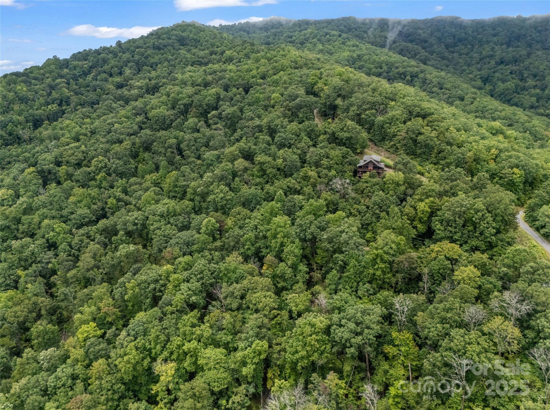 Property image 4 at 0 Peartree Drive, Lake Lure, NC 28746