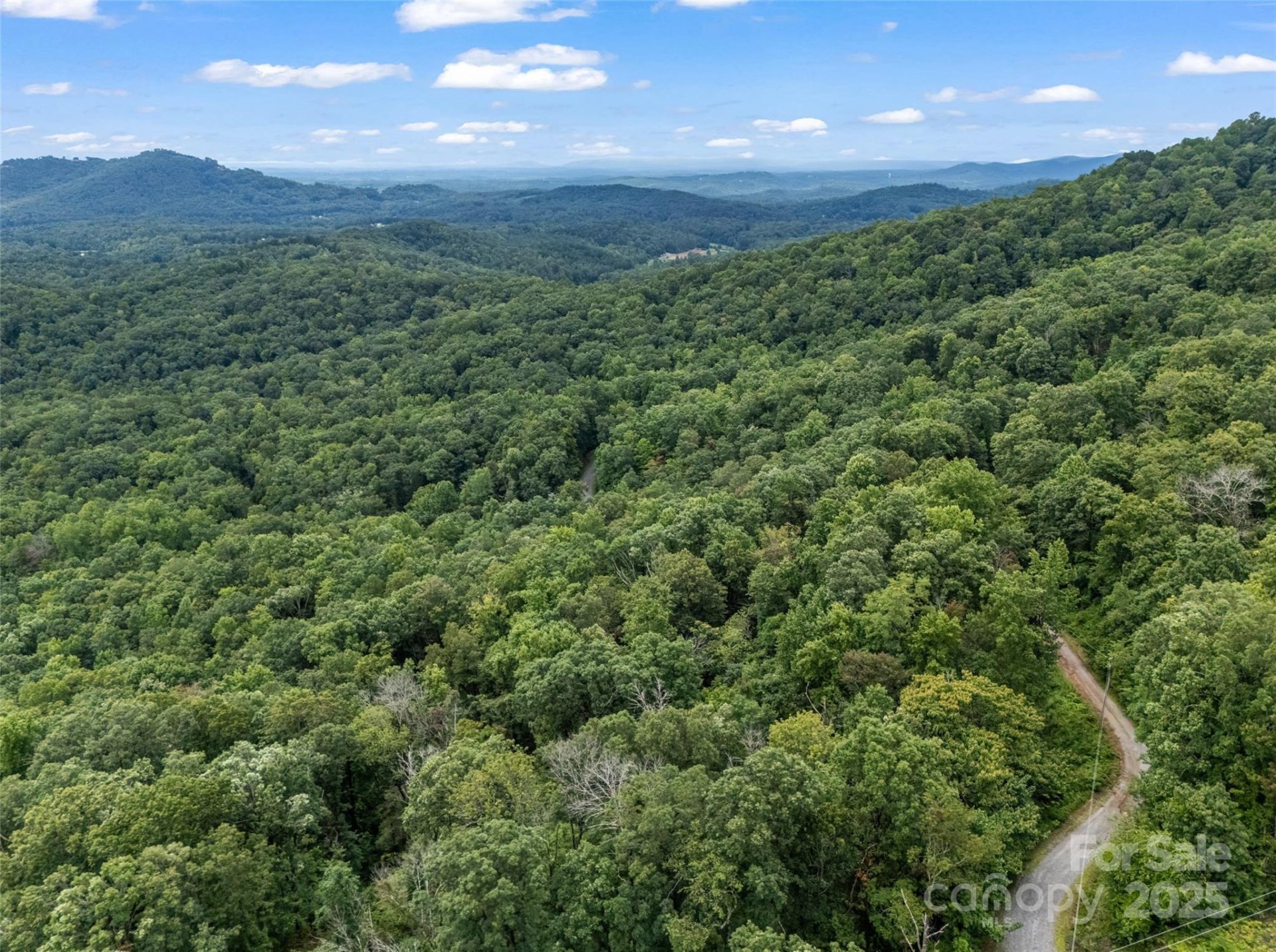 Property image 5 at 0 Peartree Drive, Lake Lure, NC 28746