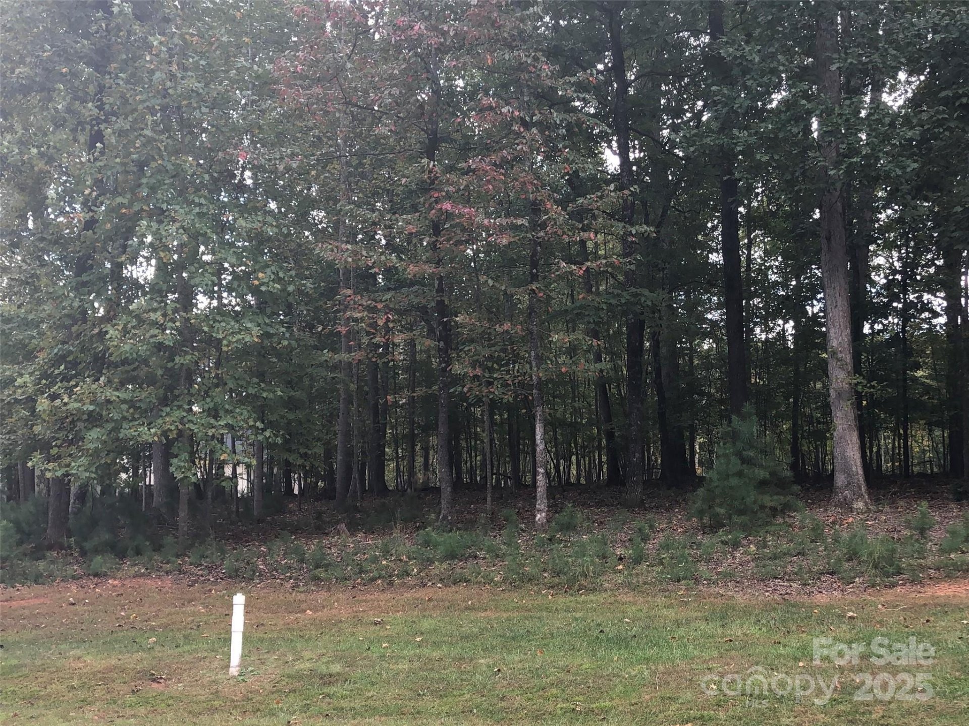 Property at 6223 Hollow Oak Drive, Mint Hill, NC 28227