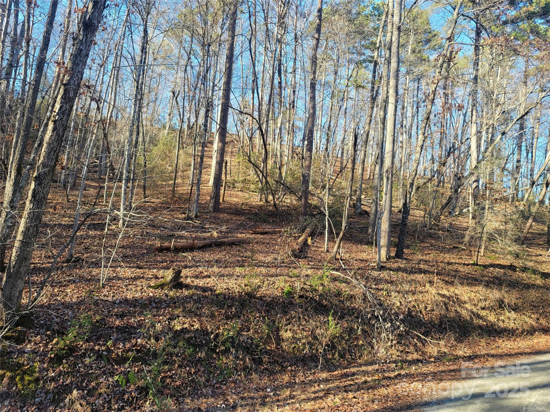 Property image 2 at Lot 140 Rainbow Circle, Lake Lure, NC 28746