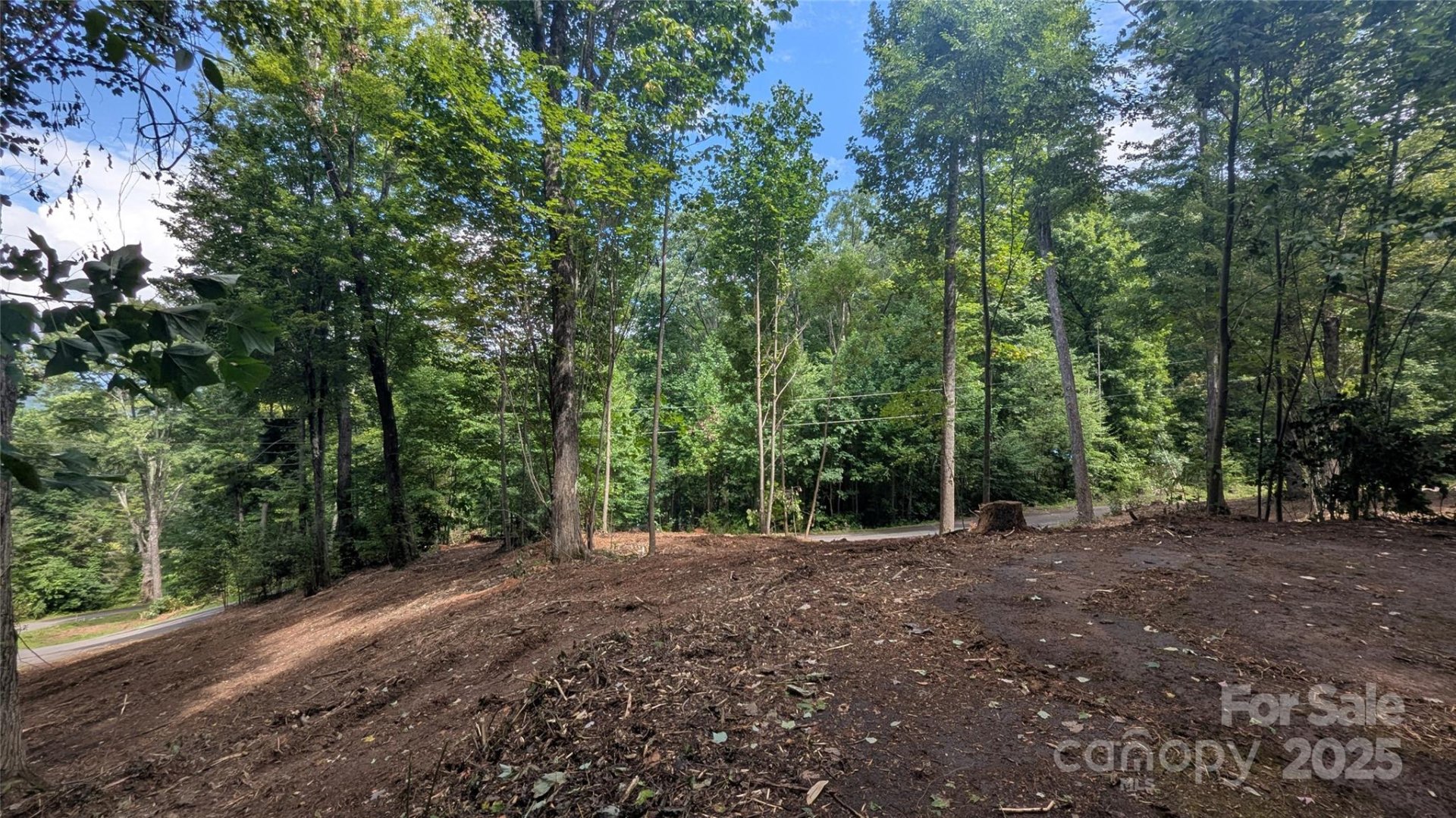 00 Chestnut Walk Drive