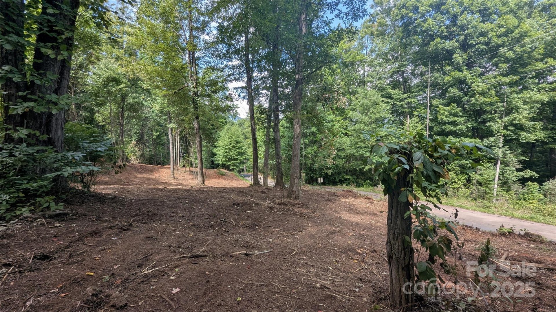 Property image 2 at 00 Chestnut Walk Drive, Waynesville, NC 28786