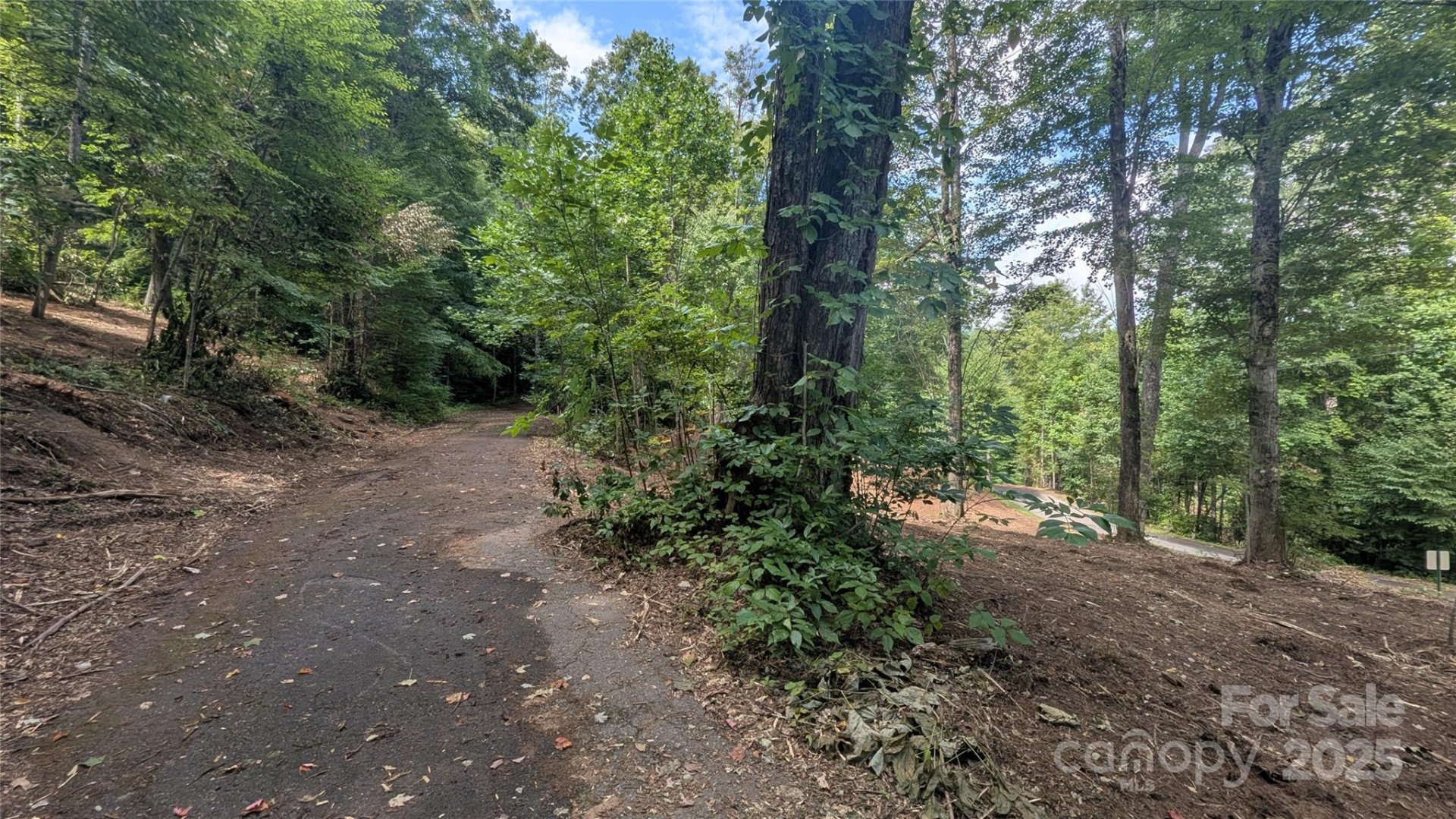Property image 3 at 00 Chestnut Walk Drive, Waynesville, NC 28786