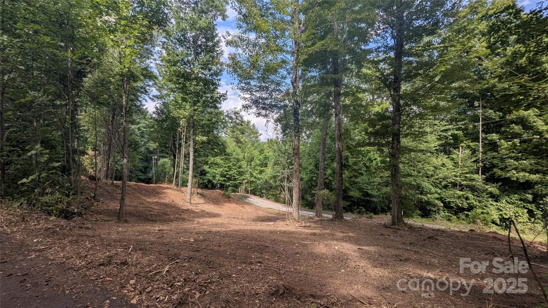 Property image 4 at 00 Chestnut Walk Drive, Waynesville, NC 28786