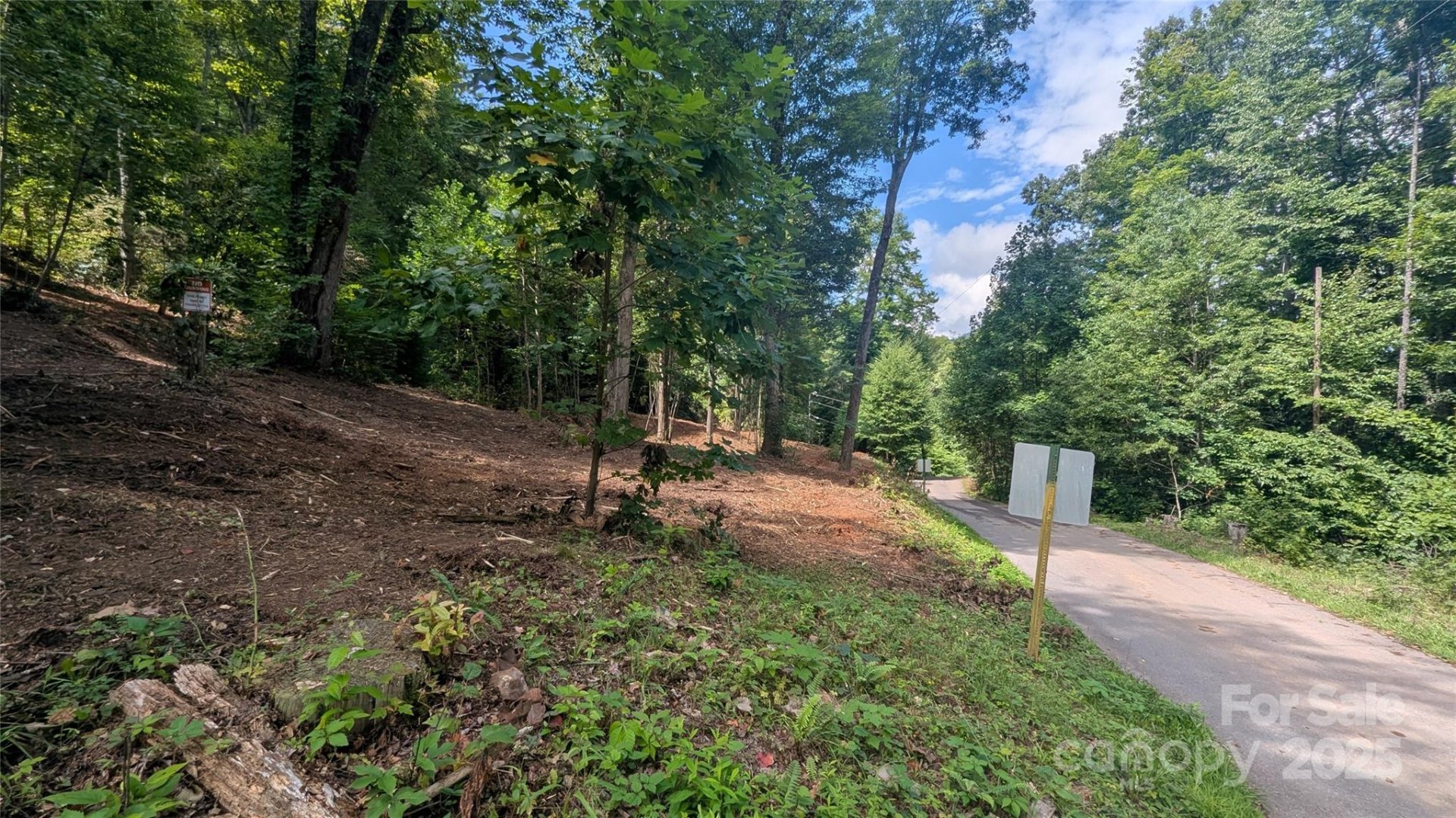 Property image 5 at 00 Chestnut Walk Drive, Waynesville, NC 28786