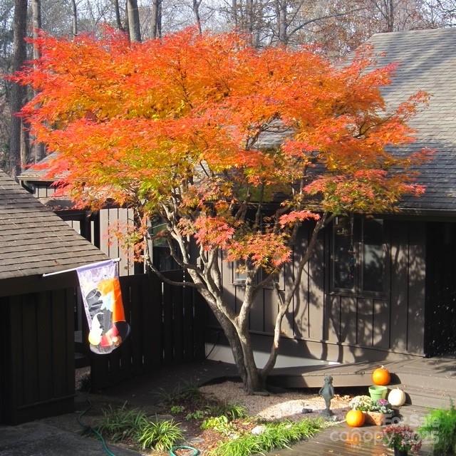 Property image 4 at 115 Kinwood Street, Morganton, NC 28655
