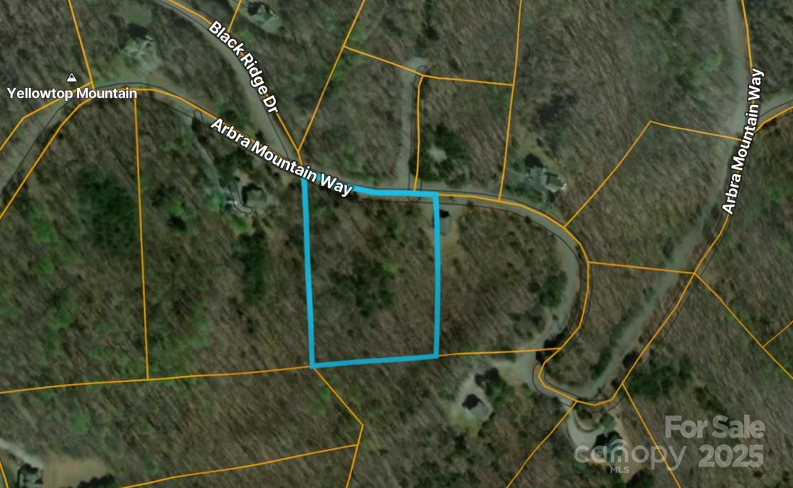 Property image 2 at 000 Arbra Mountain Way, Bostic, NC 28018