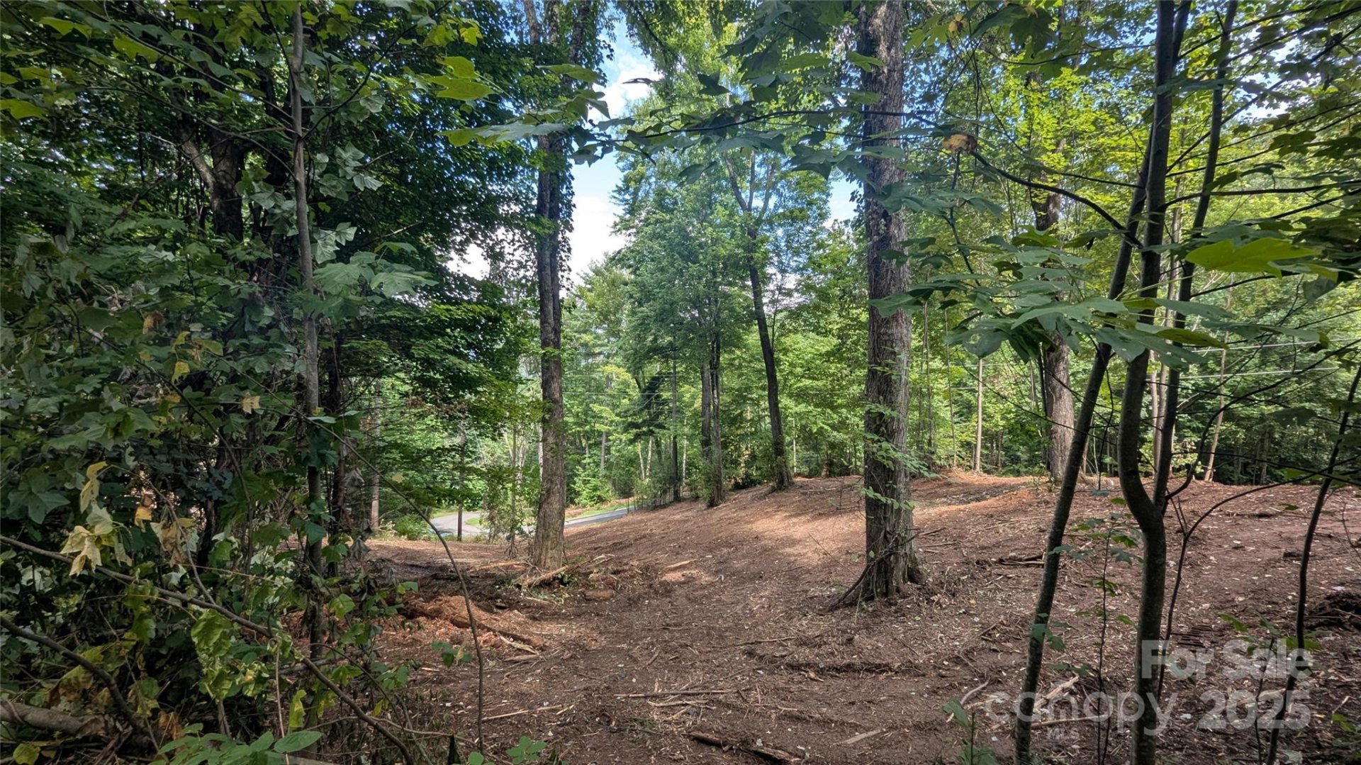 00 Chestnut Walk Drive