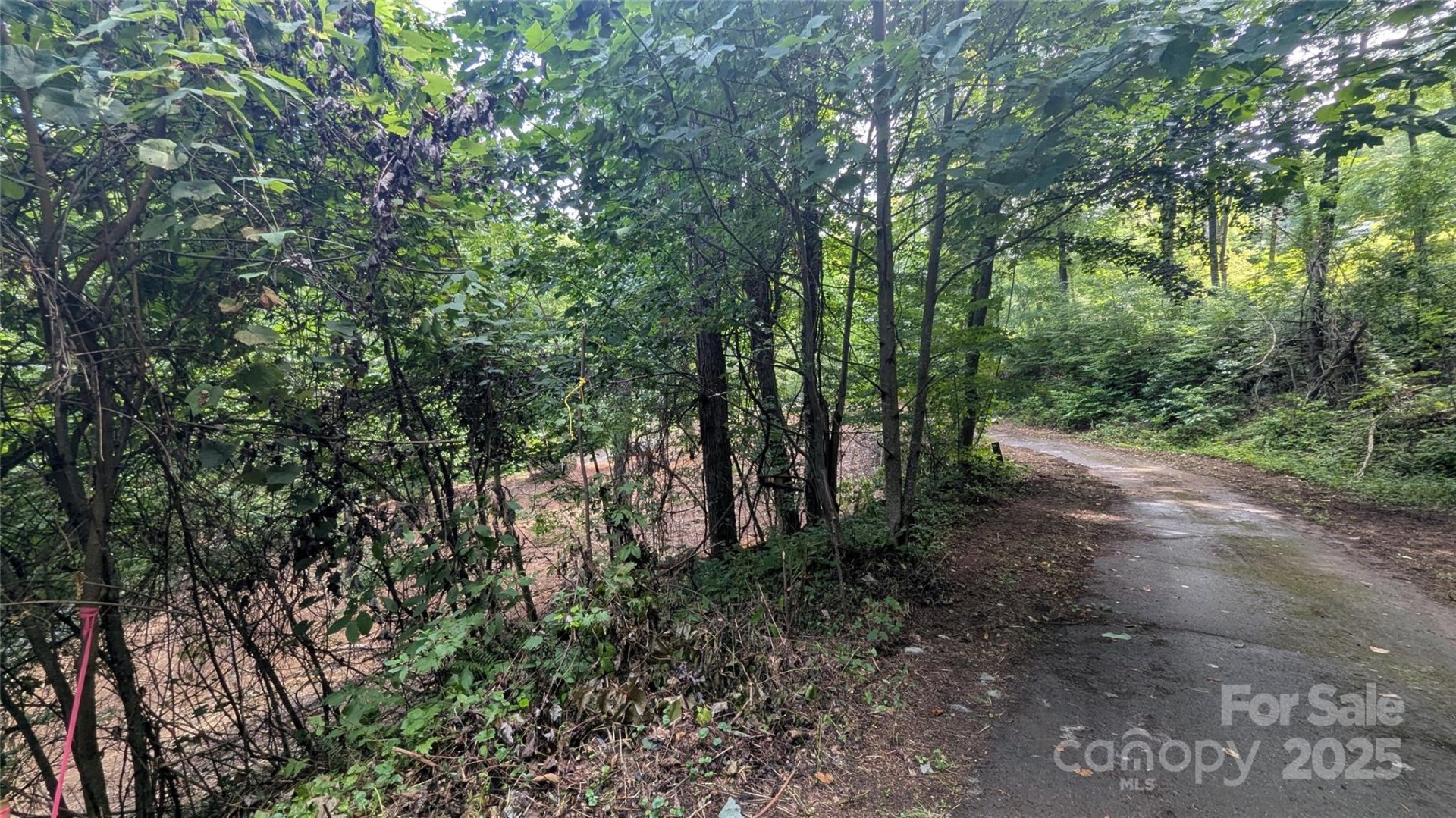 Property image 5 at 00 Chestnut Walk Drive, Waynesville, NC 28786