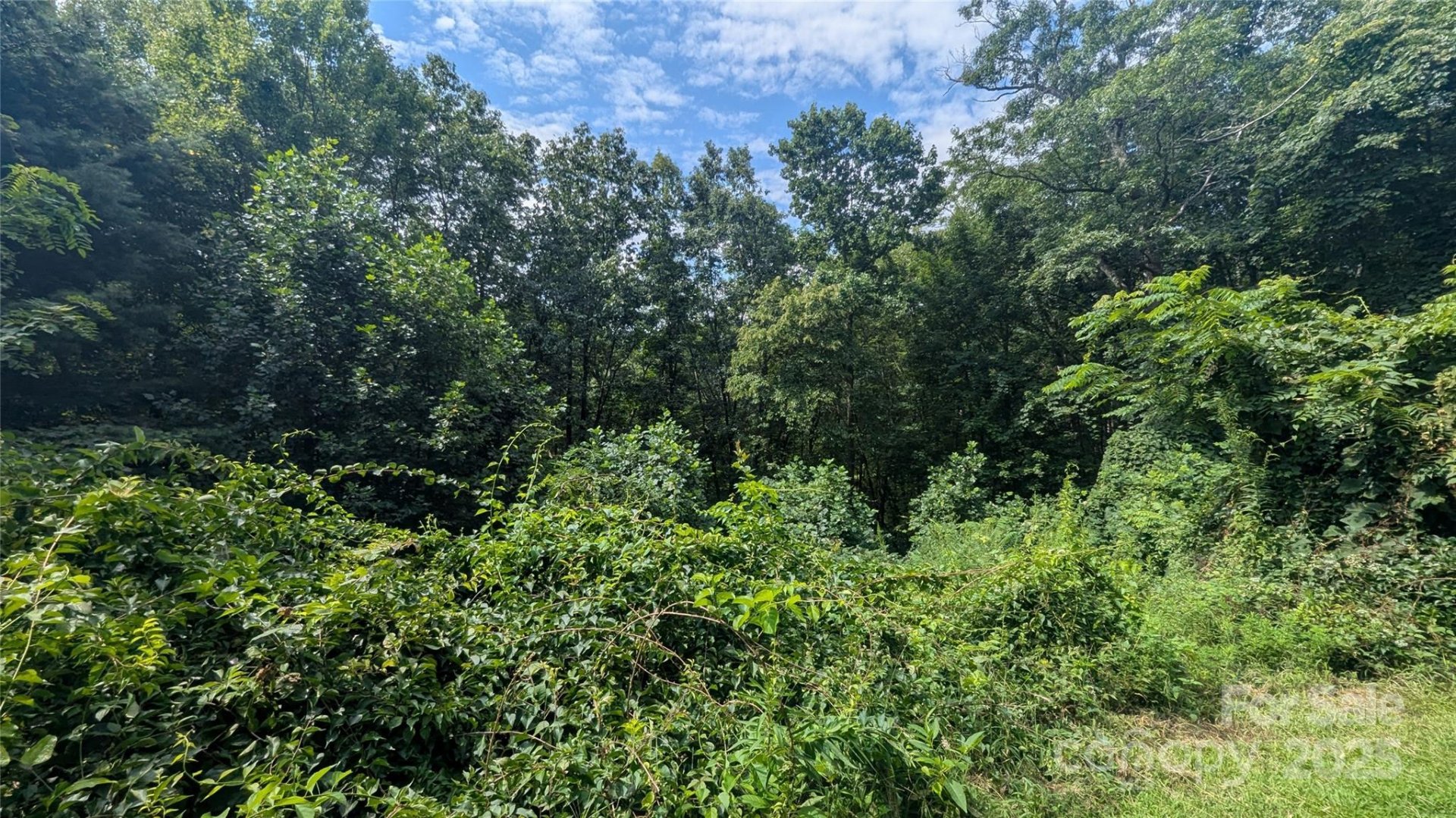 Property image 2 at 00 Pinewood Drive, Waynesville, NC 28786