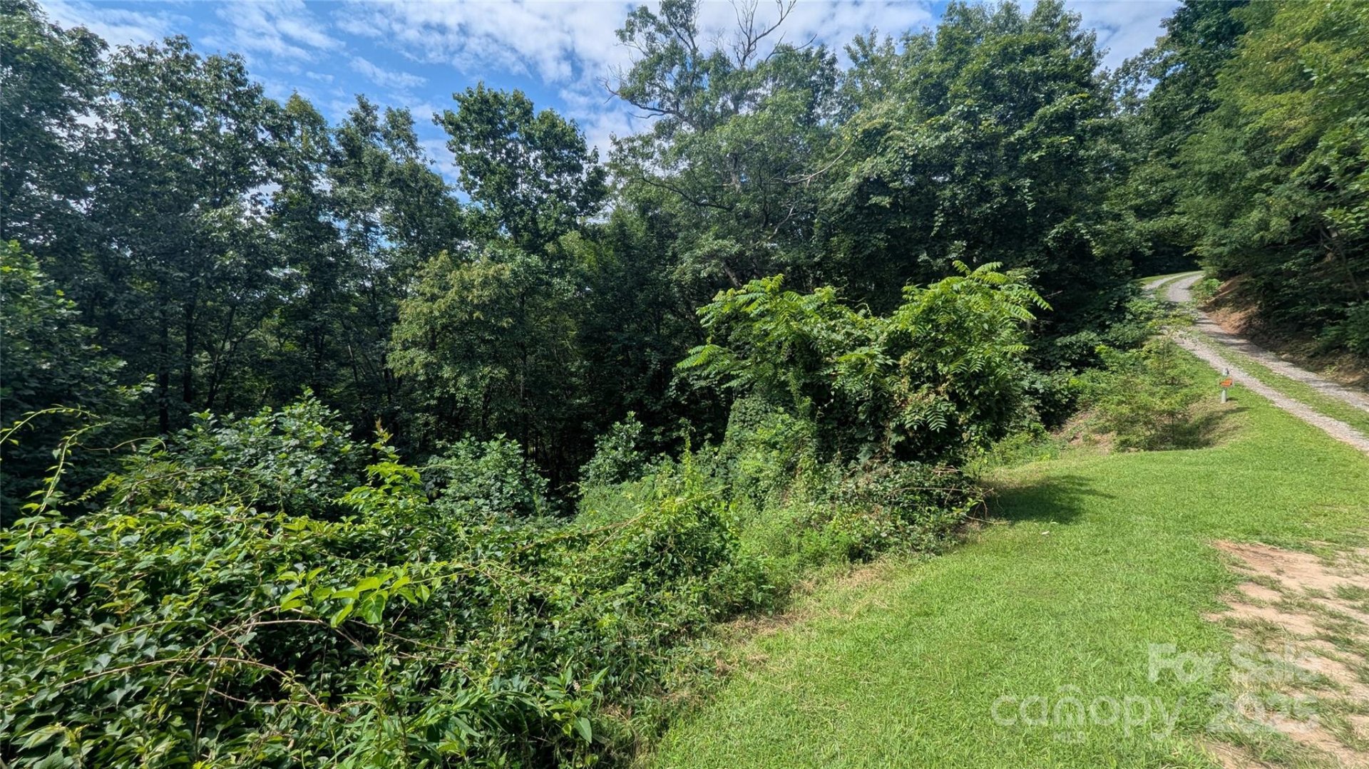 Property image 3 at 00 Pinewood Drive, Waynesville, NC 28786