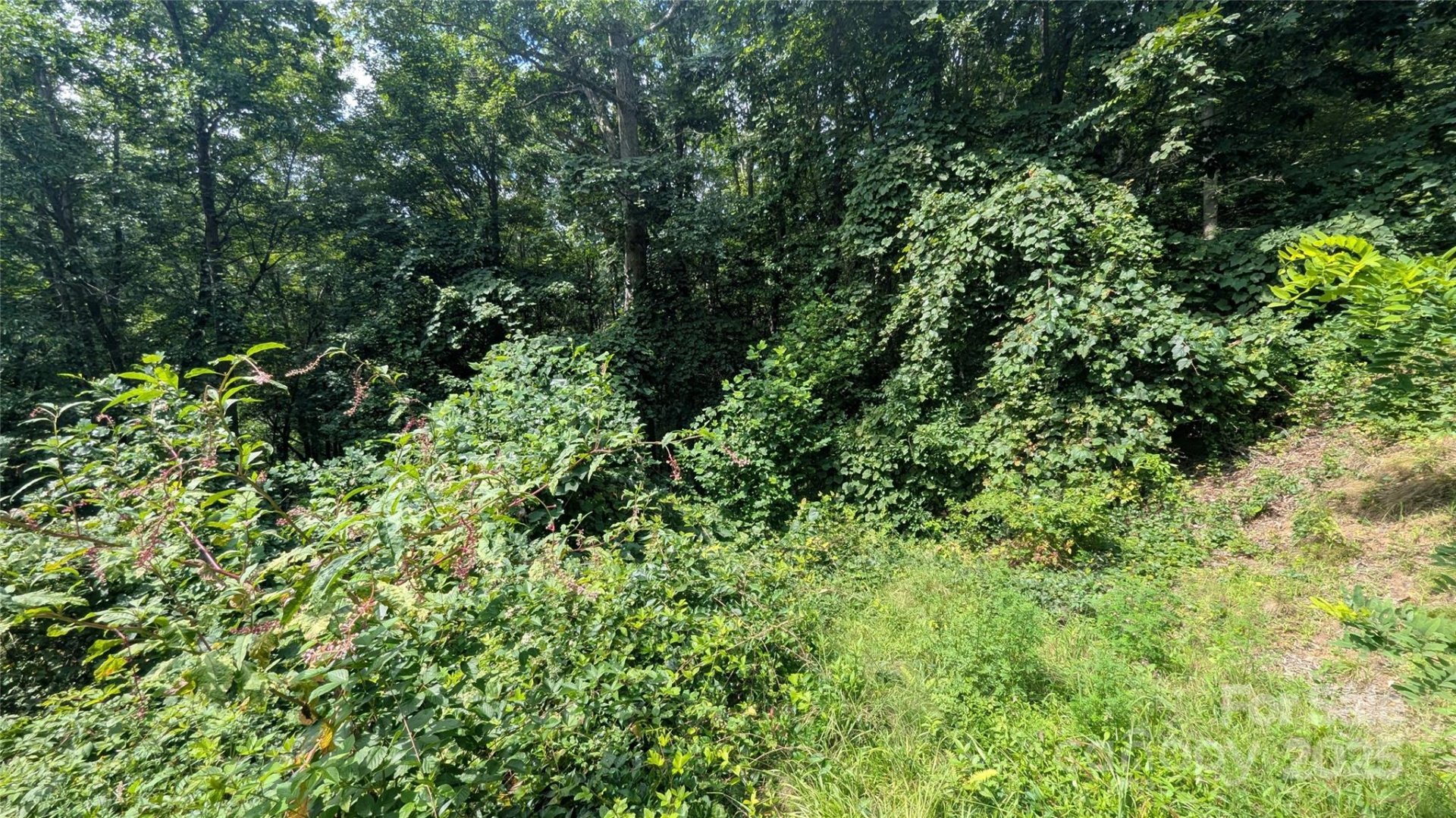 Property image 4 at 00 Pinewood Drive, Waynesville, NC 28786