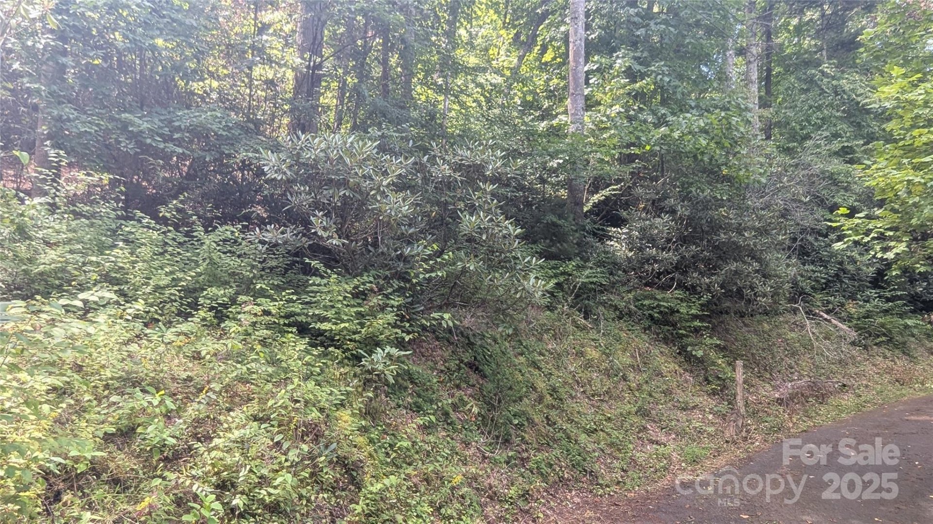 00 Chestnut Walk Drive