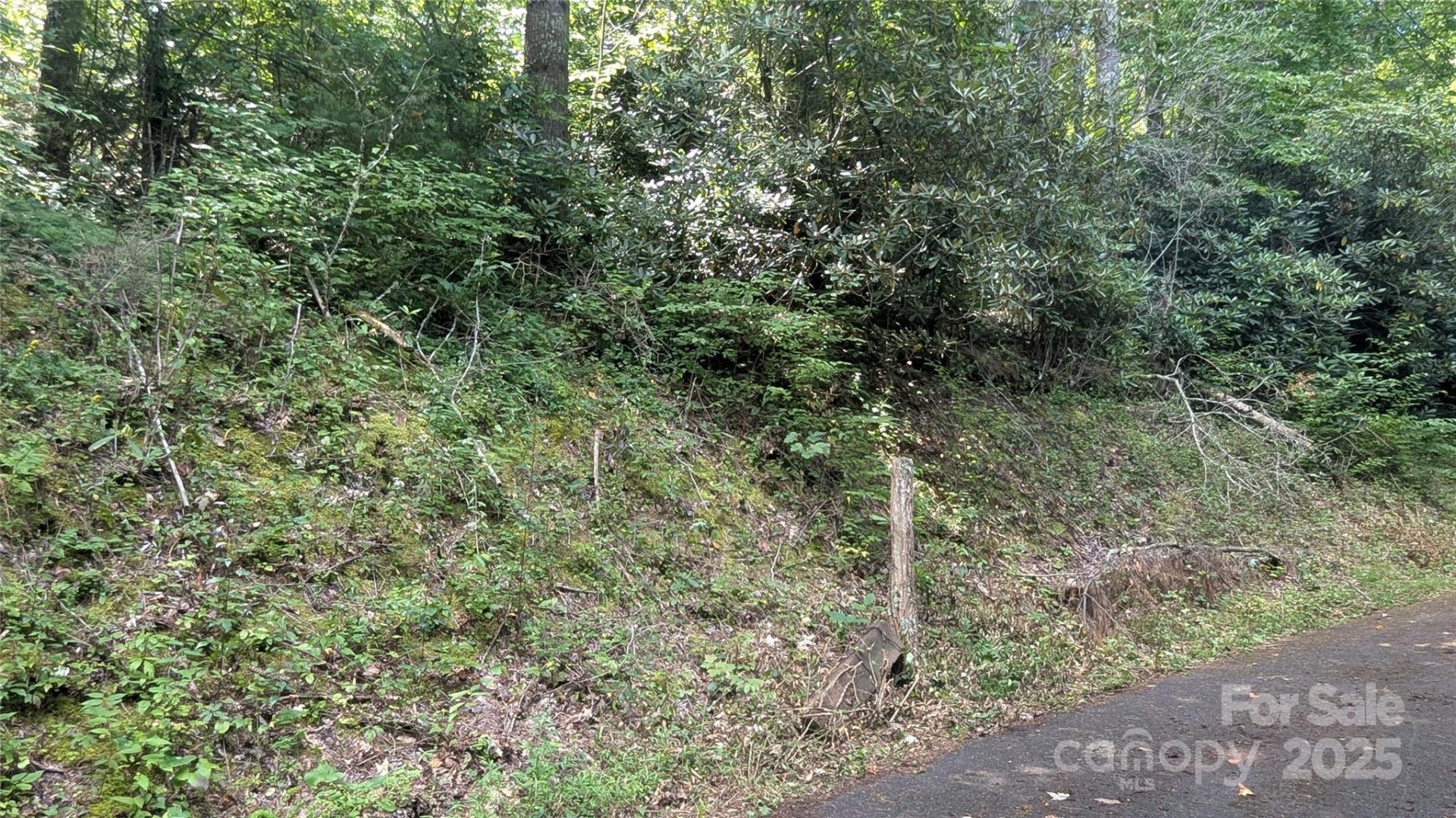 Property image 3 at 00 Chestnut Walk Drive, Waynesville, NC 28786