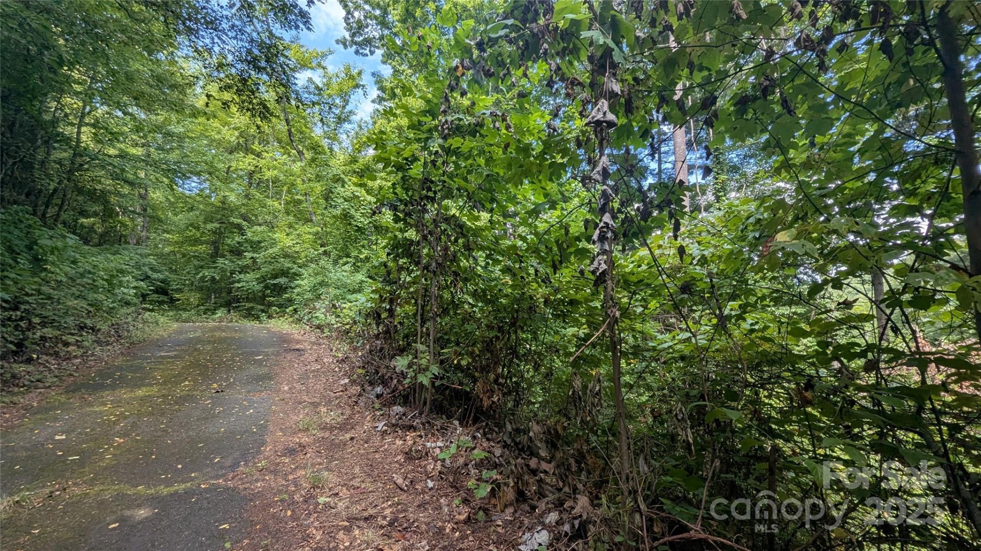 Property image 4 at 00 Chestnut Walk Drive, Waynesville, NC 28786