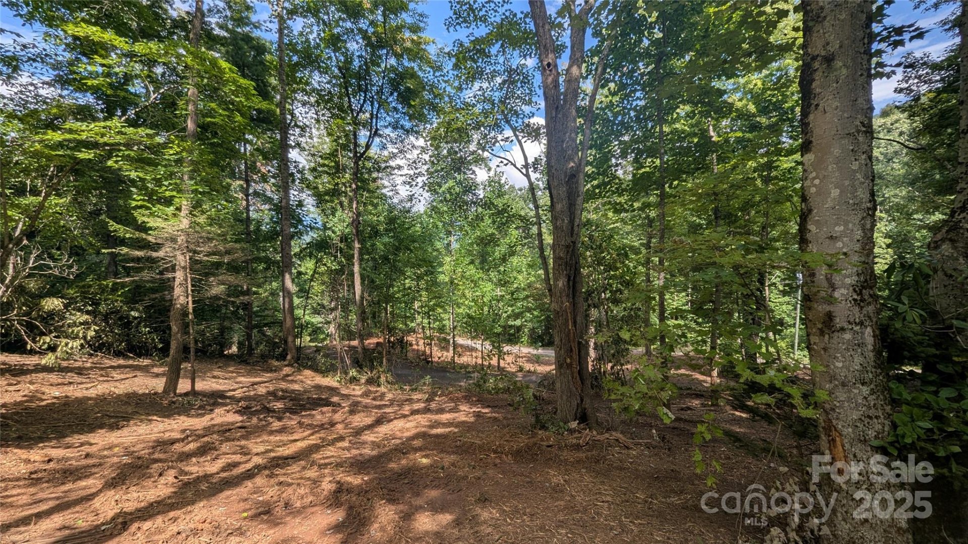 00 Chestnut Walk Drive
